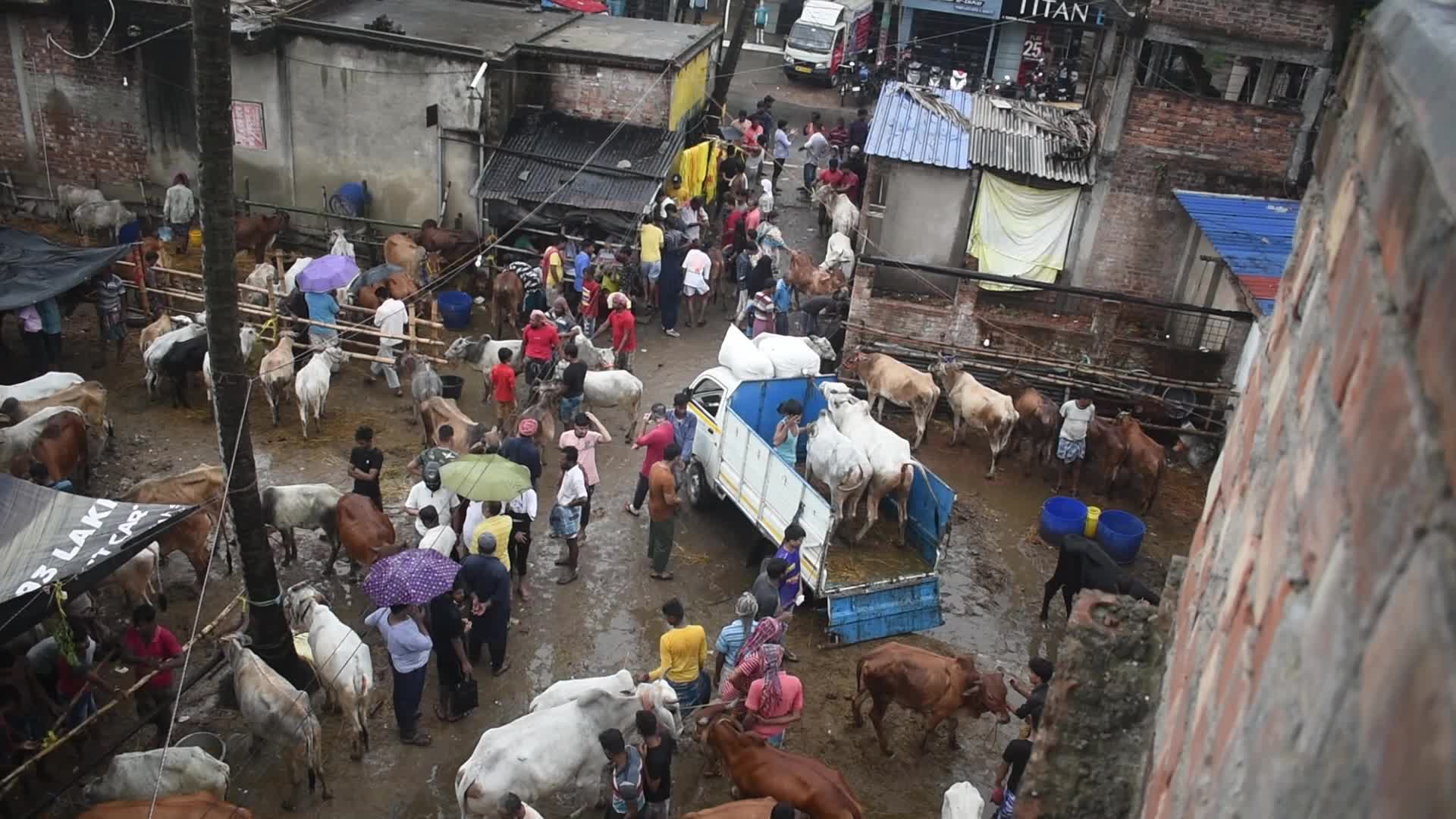 Livestock market ahead of the Muslim festival of Eid al-Adha on the outskirts of Kolkata, India