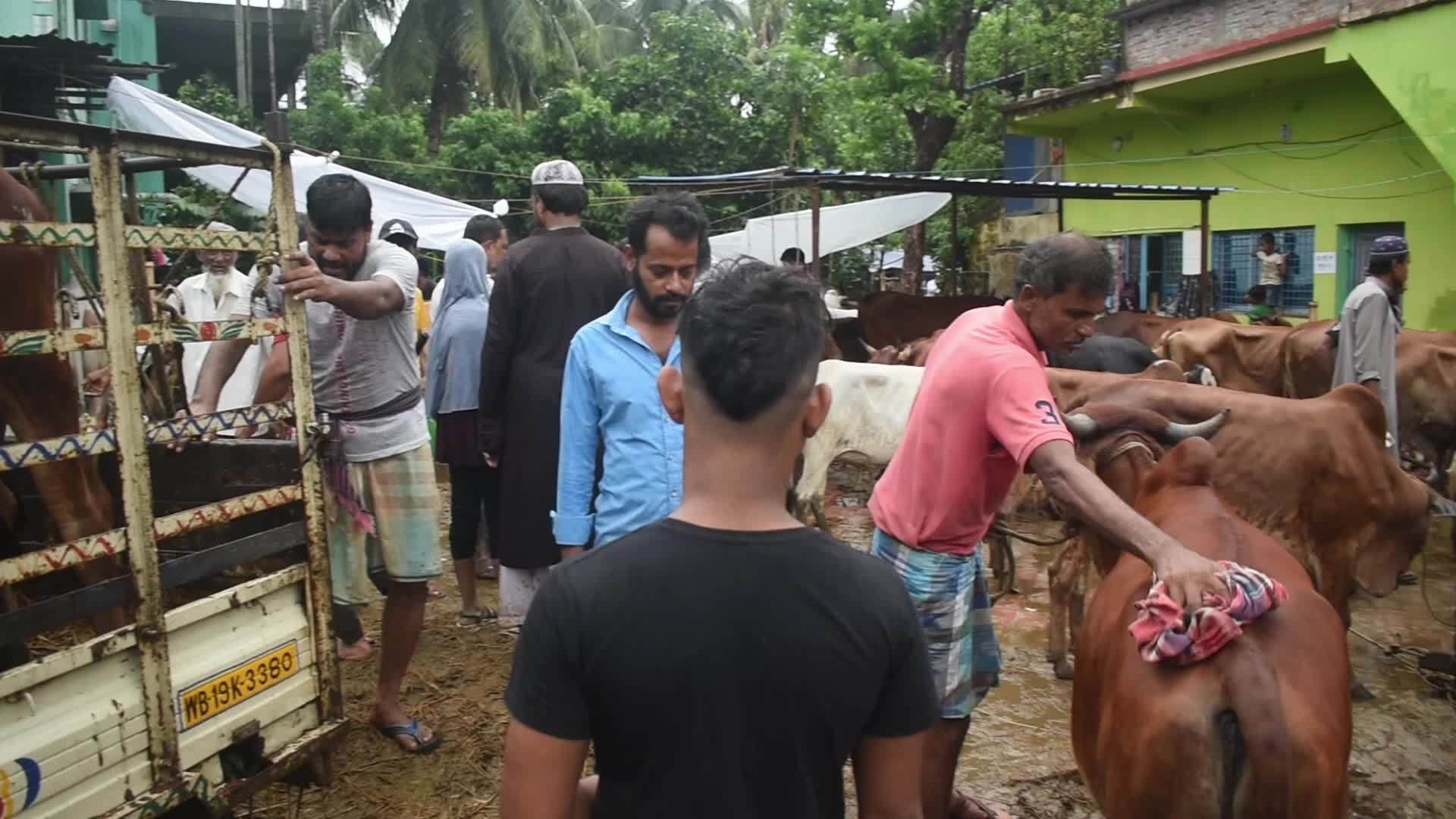 Livestock market ahead of the Muslim festival of Eid al-Adha on the outskirts of Kolkata, India
