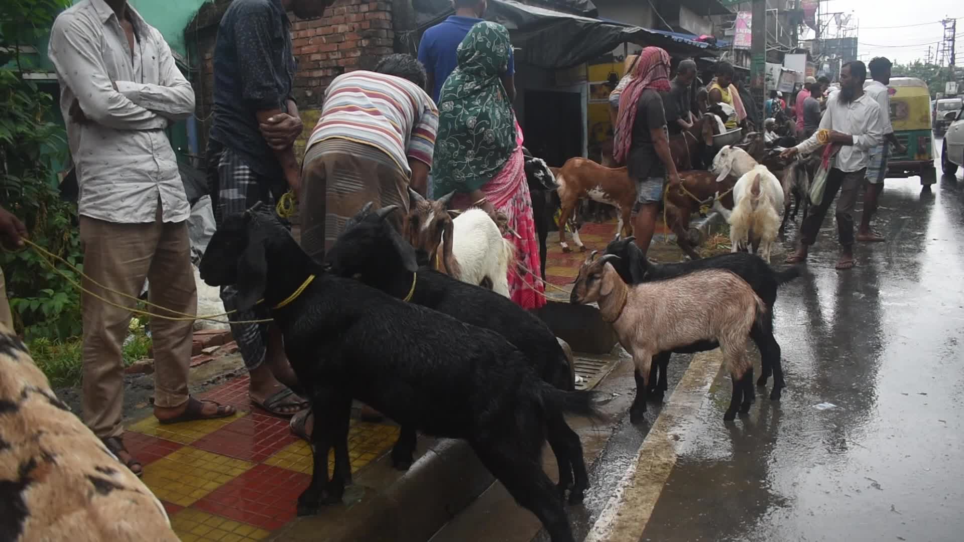 Livestock market ahead of the Muslim festival of Eid al-Adha on the outskirts of Kolkata, India