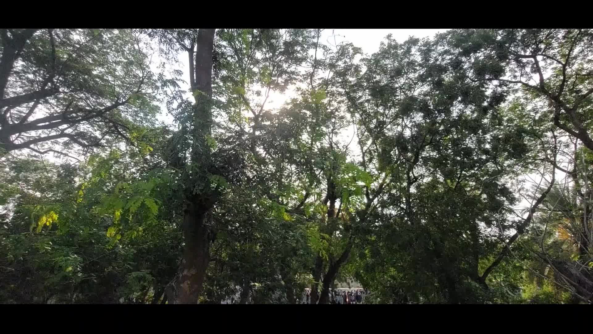 Eid Al-Adha Prayer In India