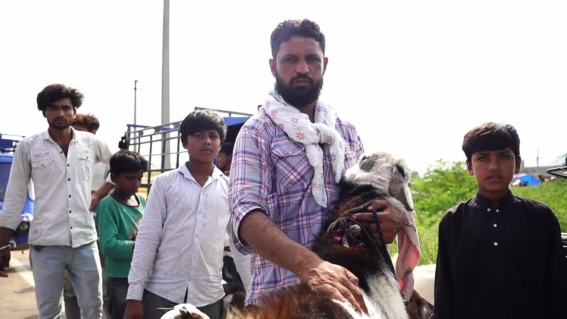 Livestock Market Ahead Eid Al-Adha In India