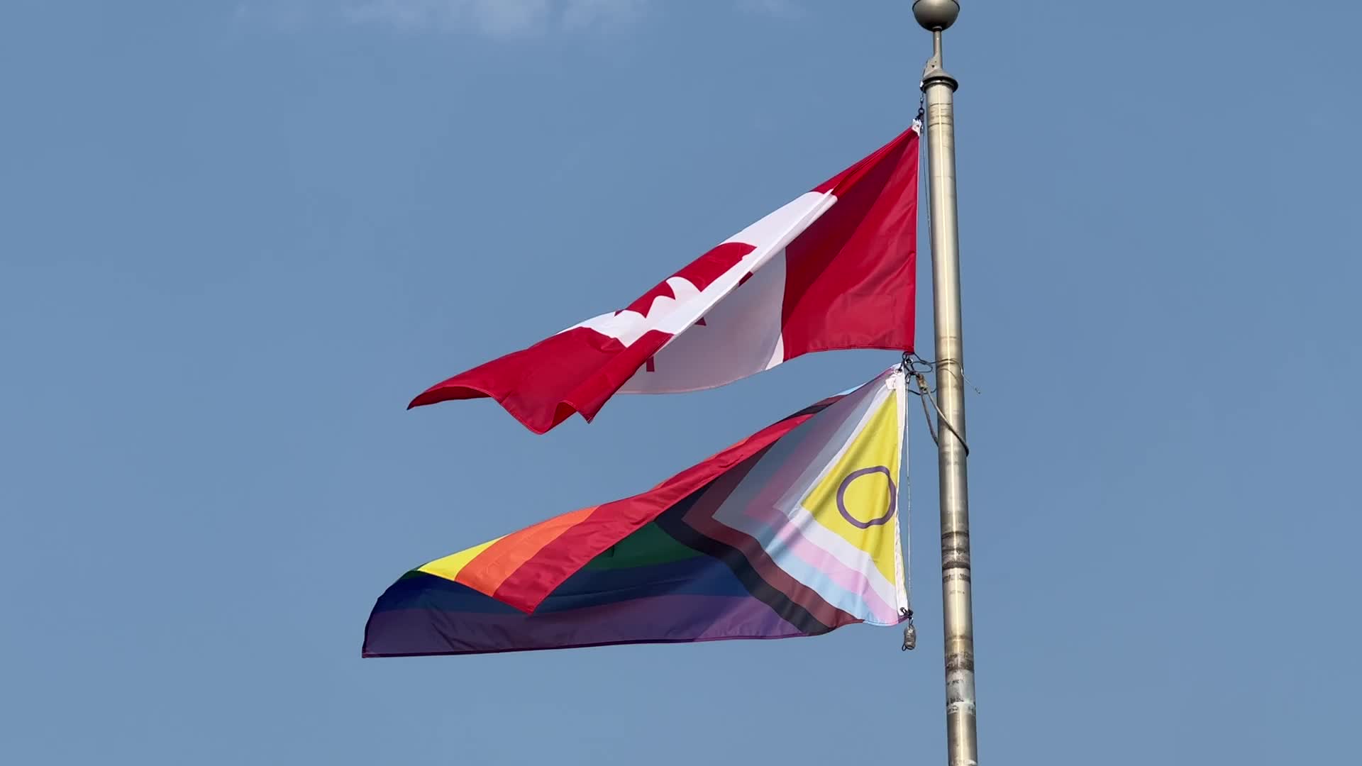 Pride flag and Canadian flag