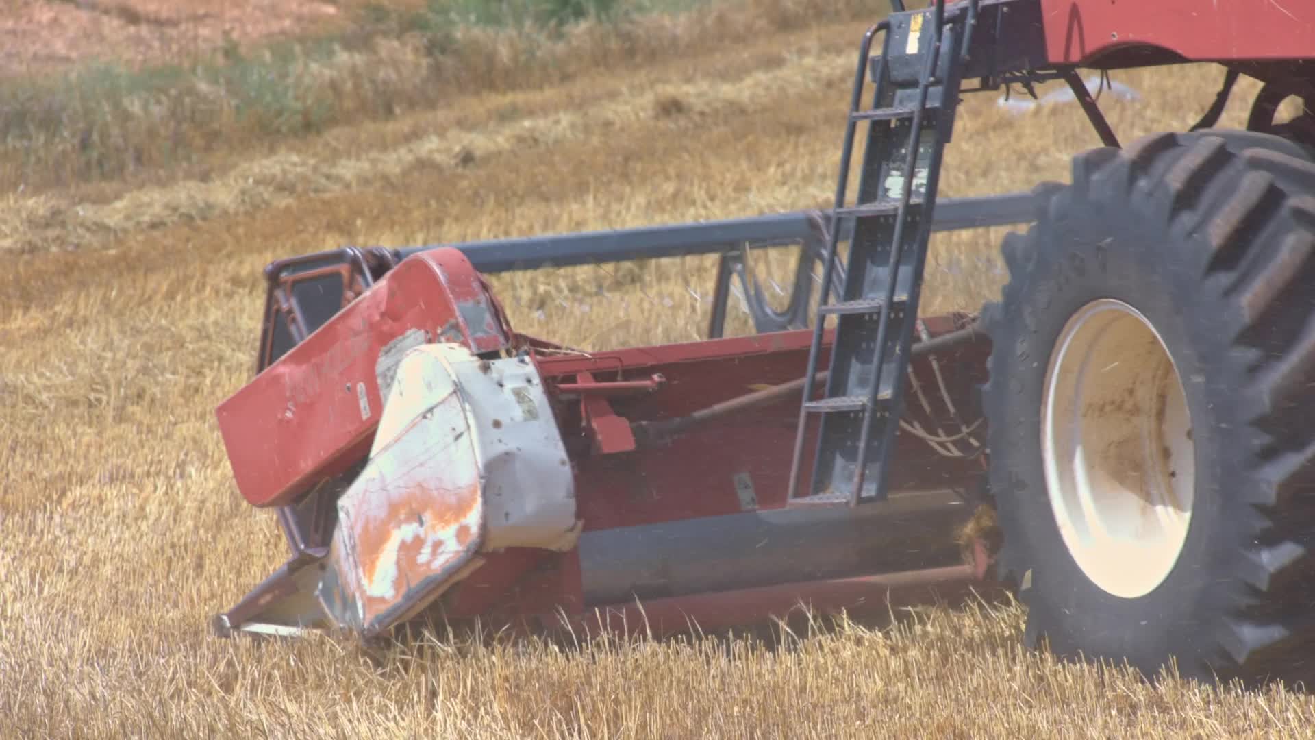 Spanish Farmers Mowing A Wheat Field