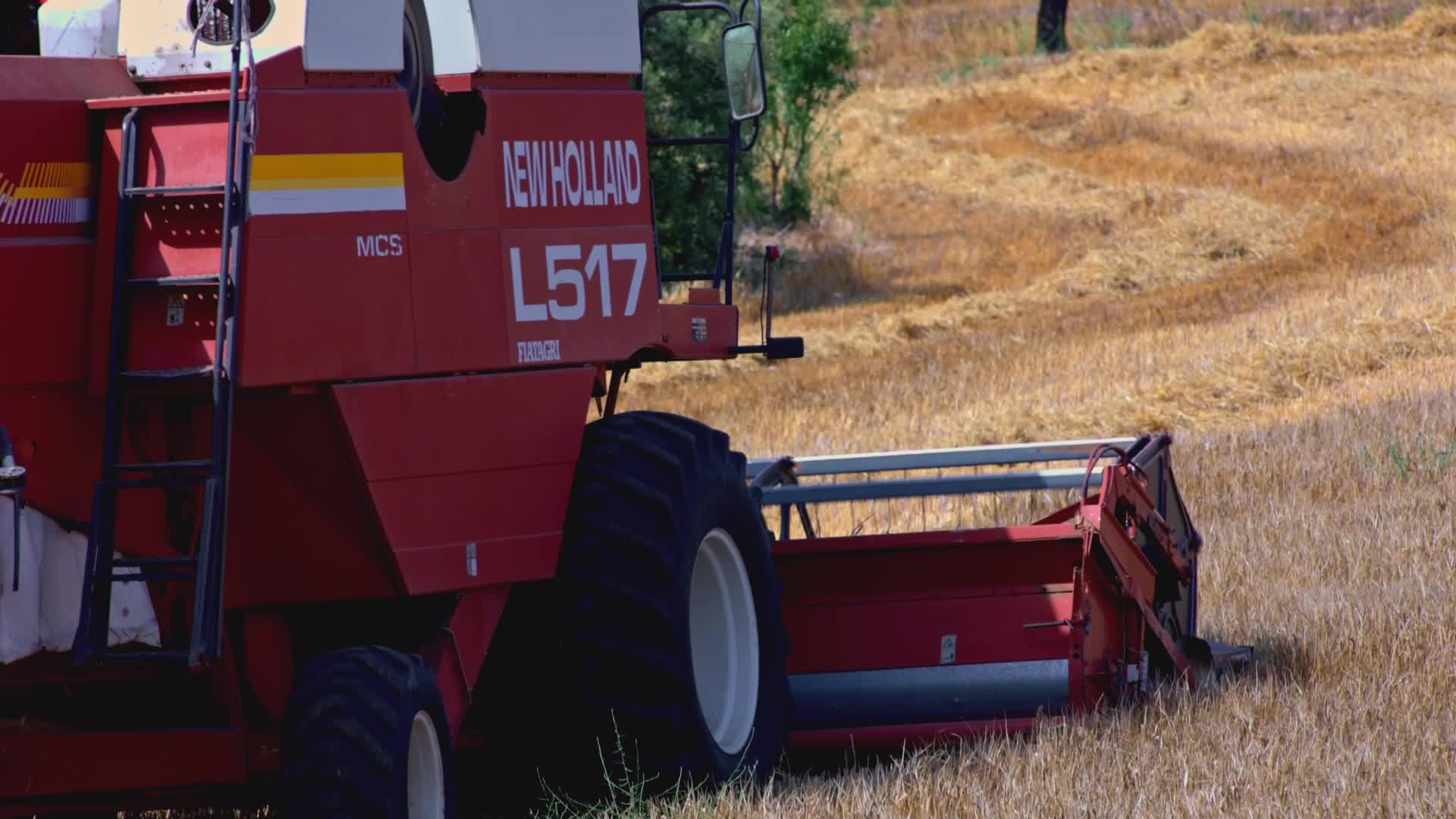 Spanish Farmers Mowing A Wheat Field