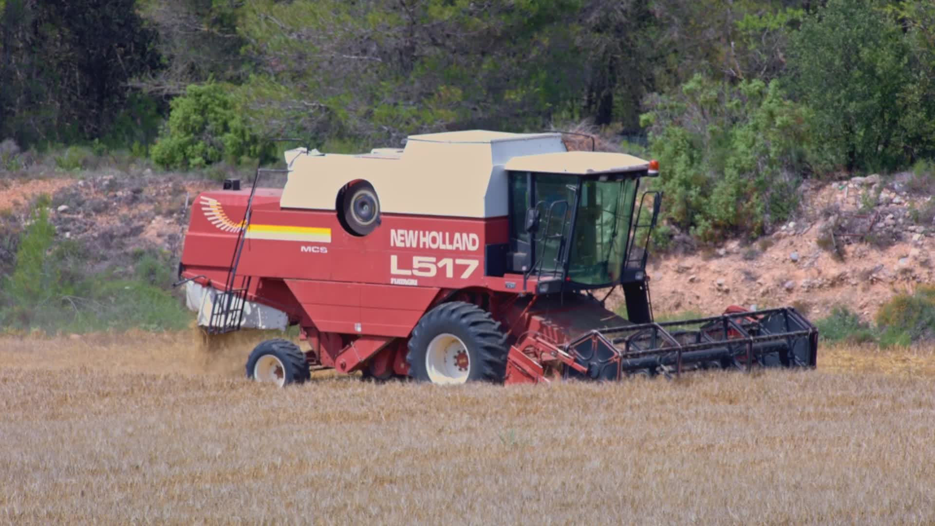 Spanish Farmers Mowing A Wheat Field