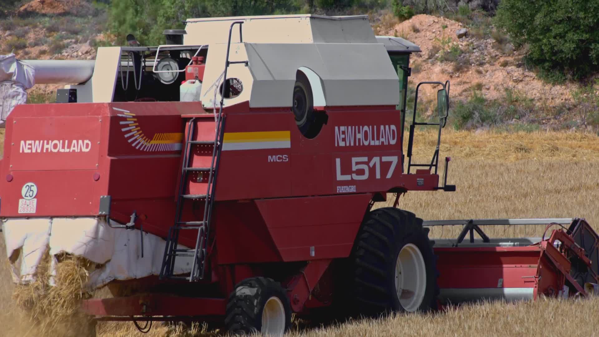 Spanish Farmers Mowing A Wheat Field