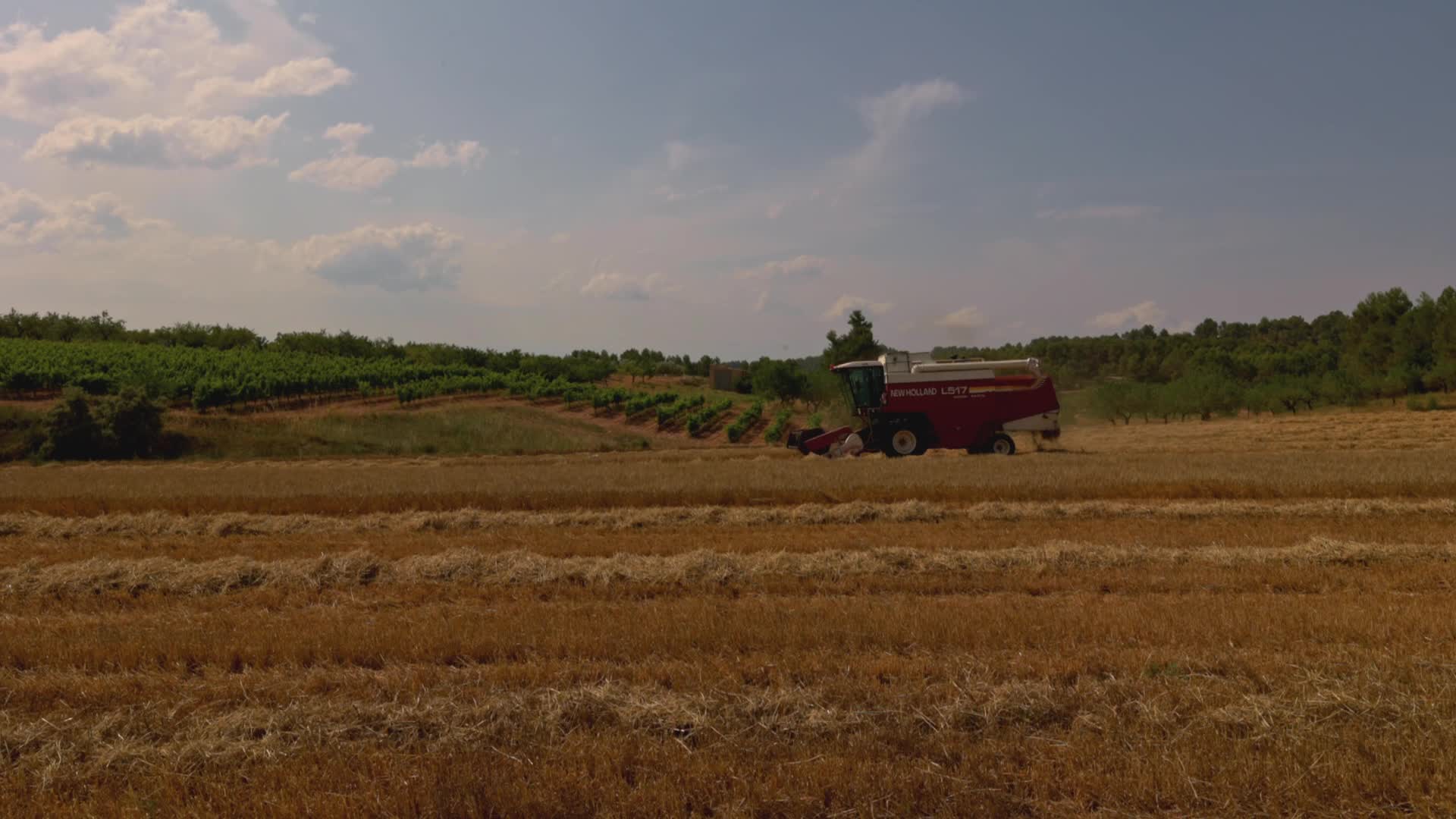 Spanish Farmers Mowing A Wheat Field