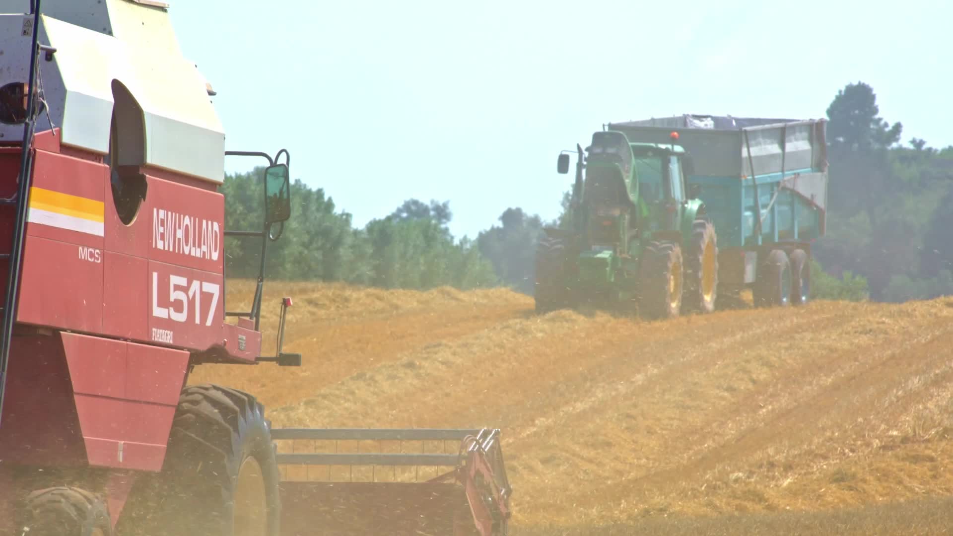 Spanish Farmers Mowing A Wheat Field