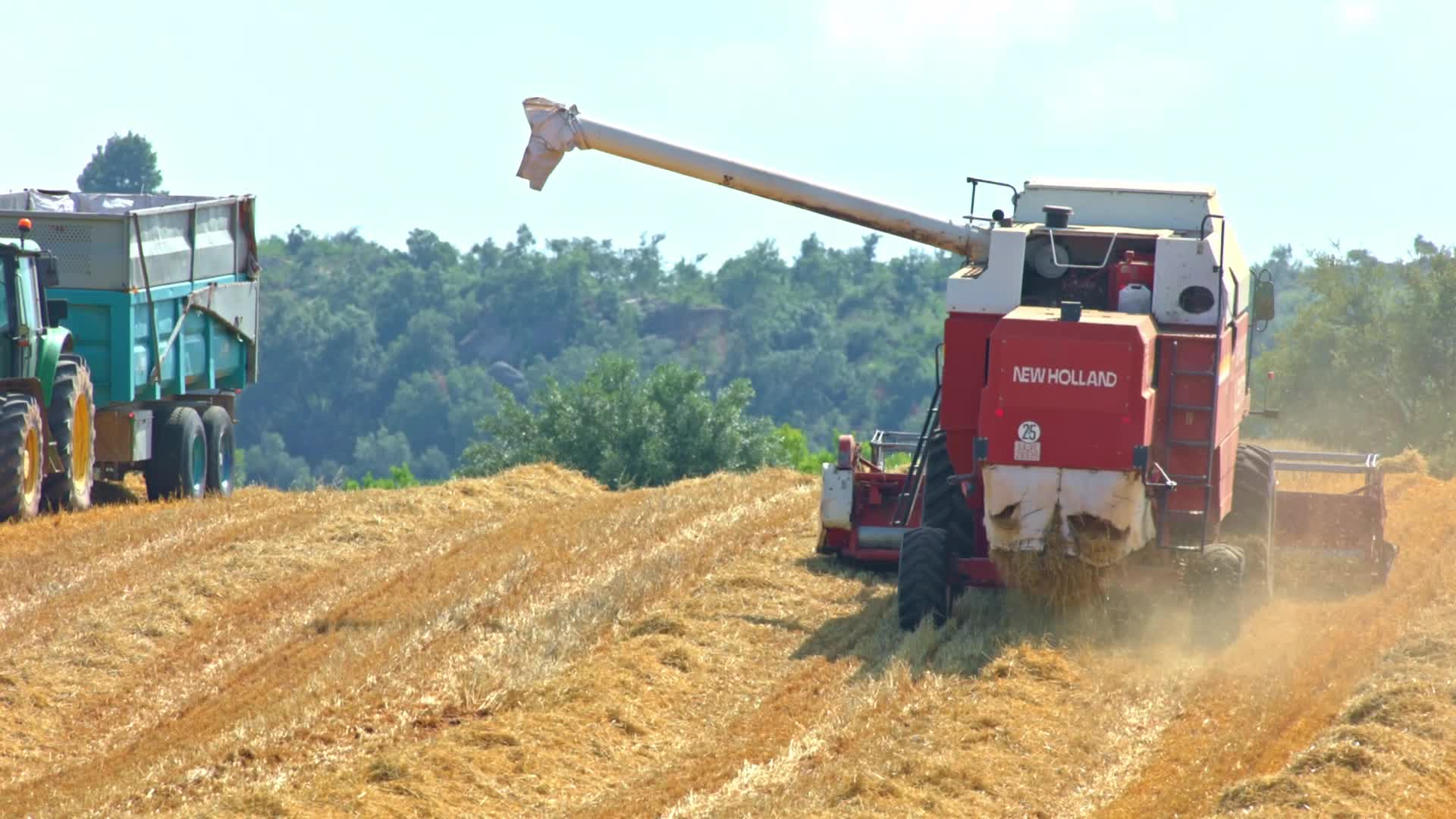 Spanish Farmers Mowing A Wheat Field