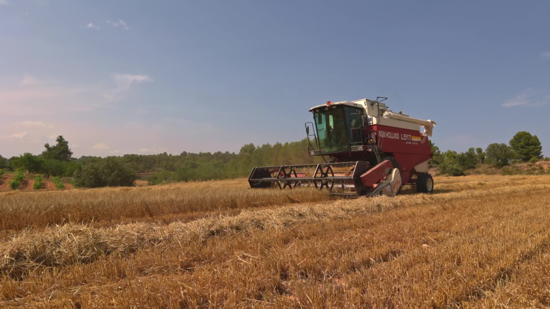 Spanish Farmers Mowing A Wheat Field