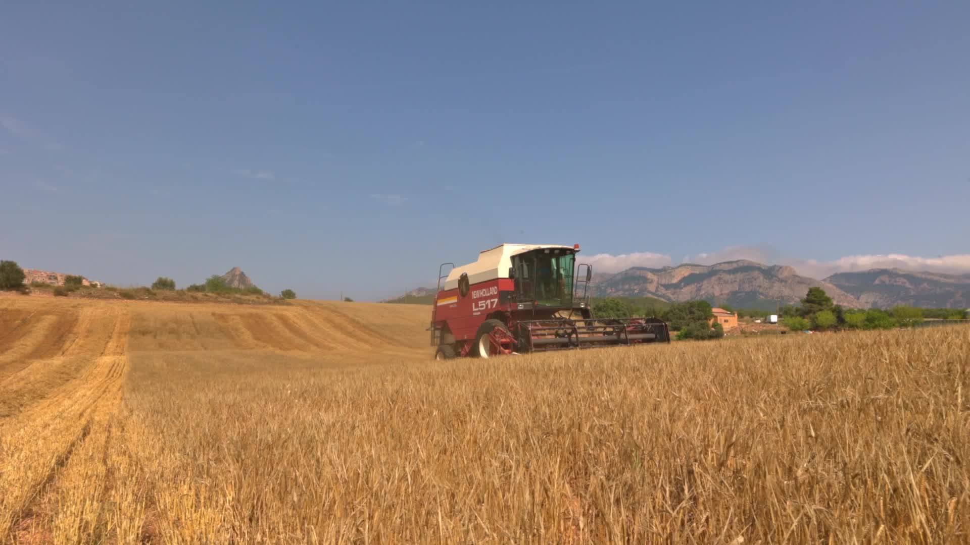 Spanish Farmers Mowing A Wheat Field