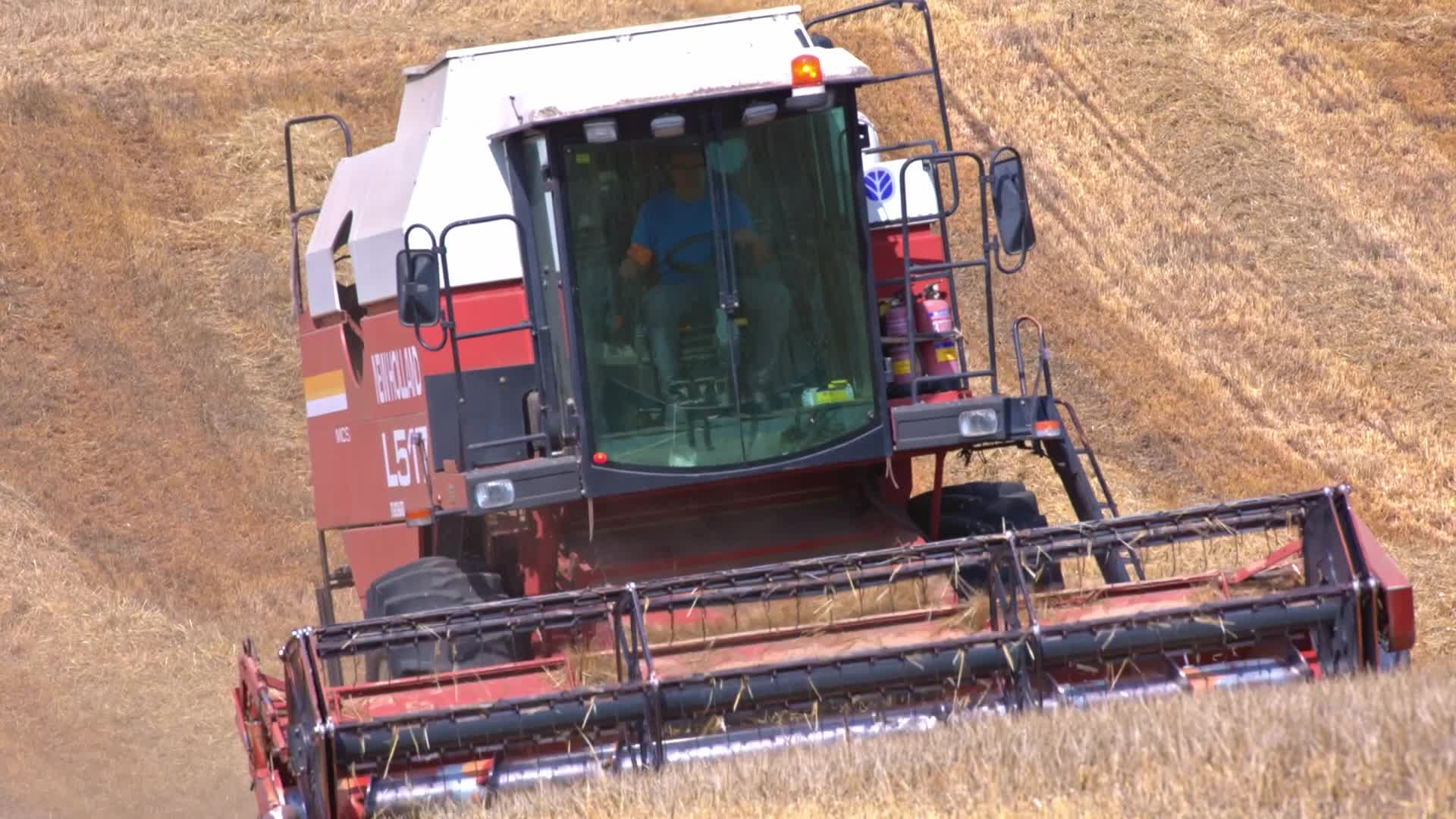 Spanish Farmers Mowing A Wheat Field