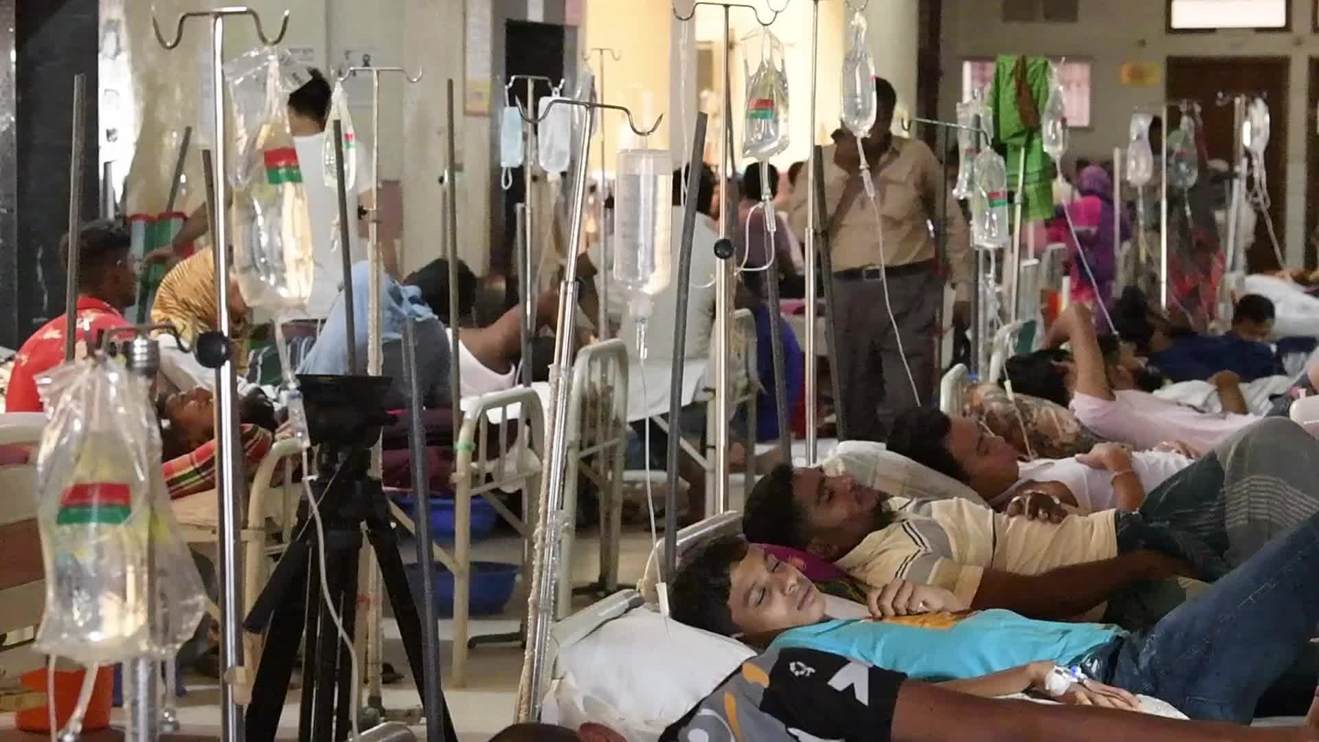 Dengue Fever In Dhaka