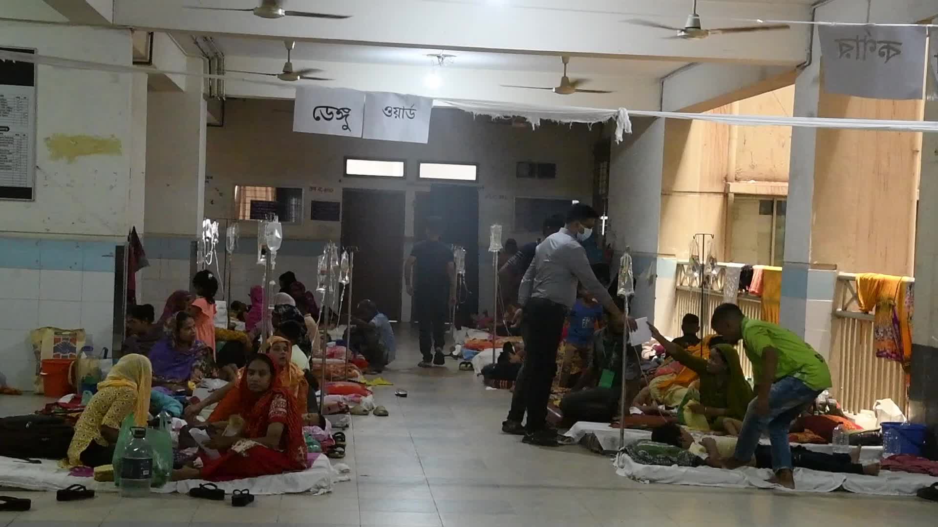 Dengue Fever In Dhaka