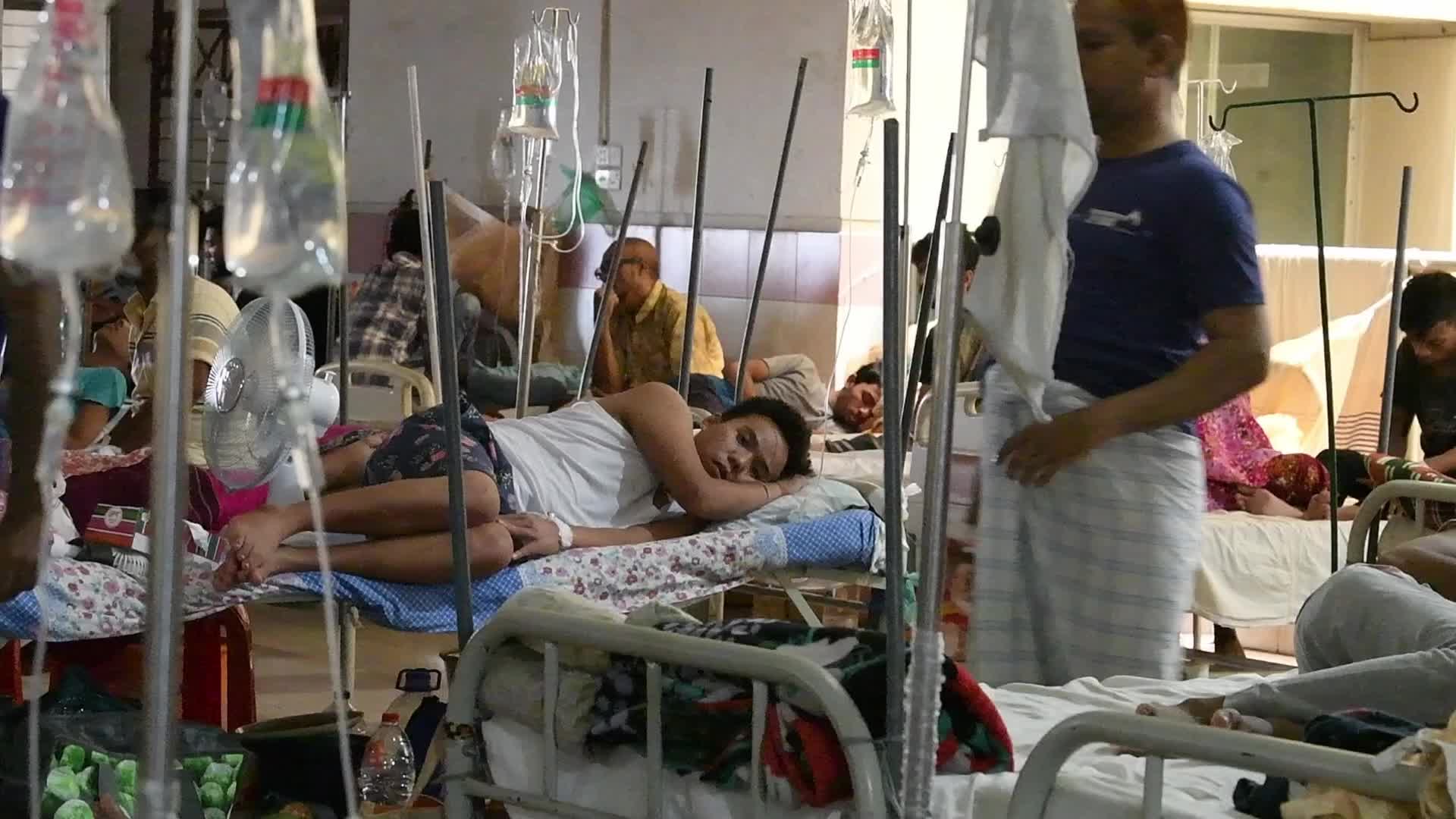 Dengue Fever In Dhaka