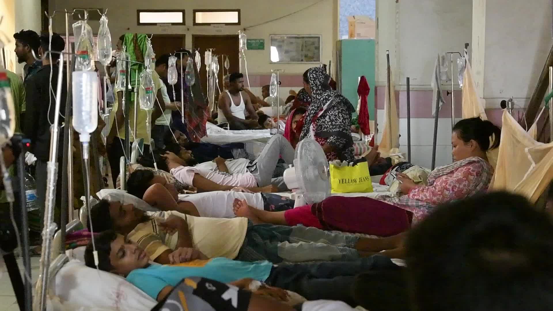 Dengue Fever In Dhaka