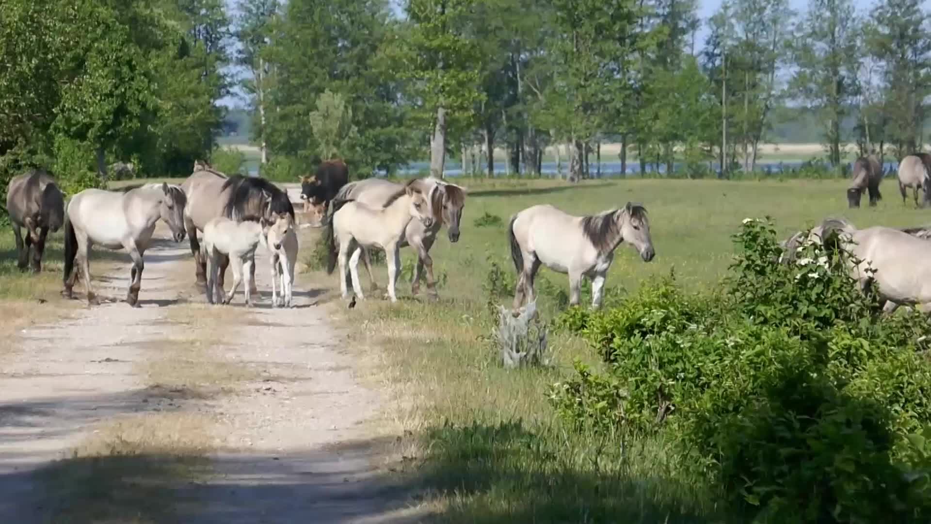 Pape Nature Park In Latvia