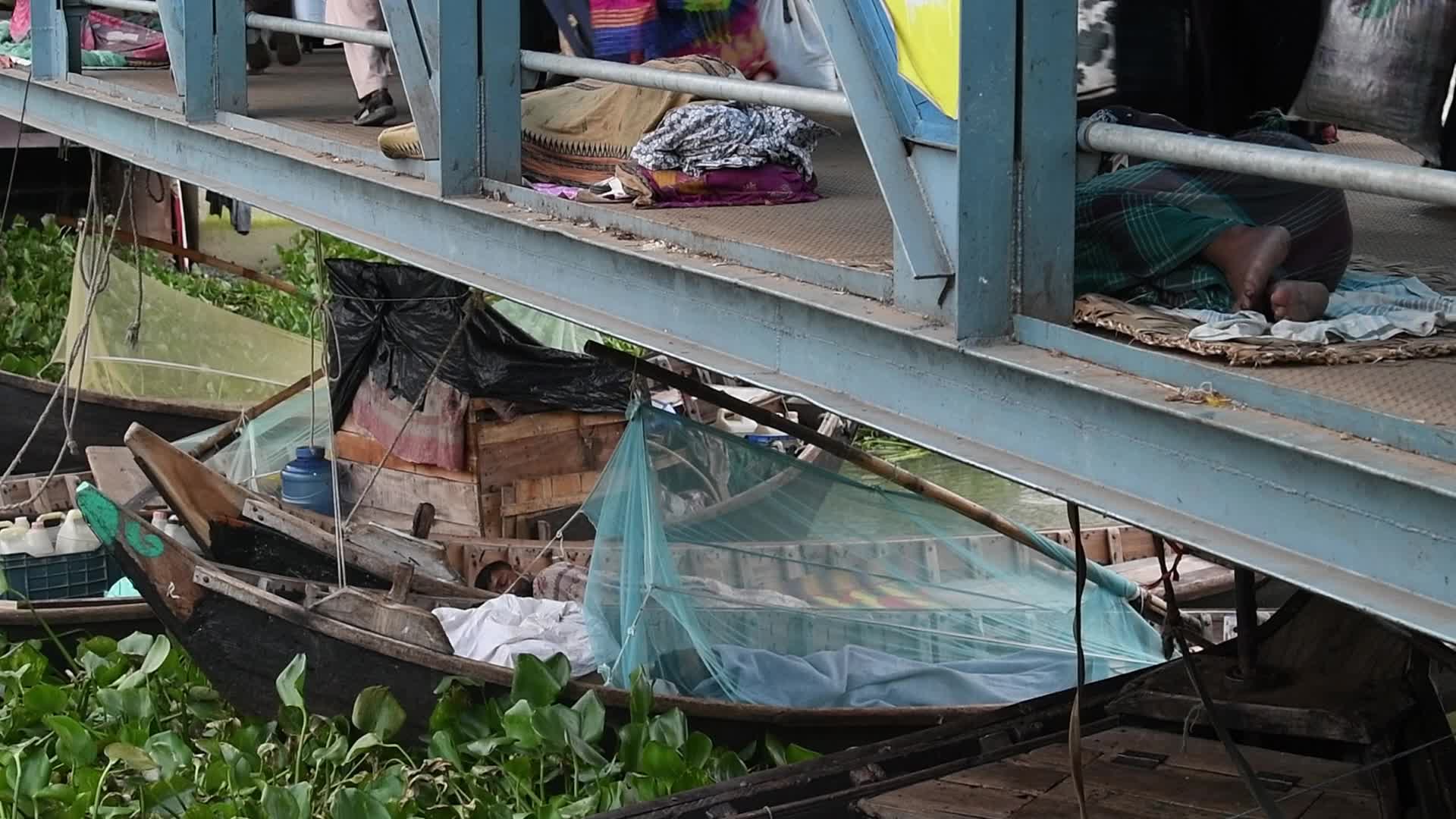 Dengue Fever In Dhaka
