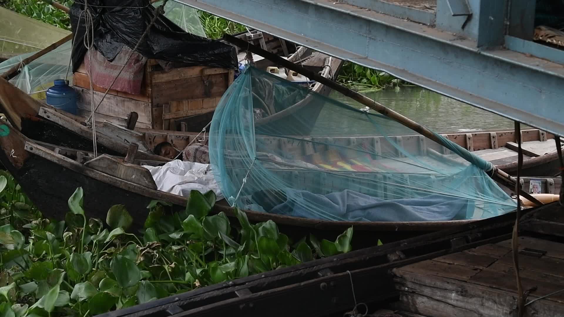 Dengue Fever In Dhaka