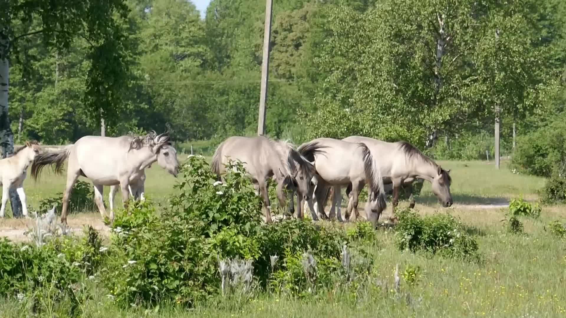 Pape Nature Park In Latvia