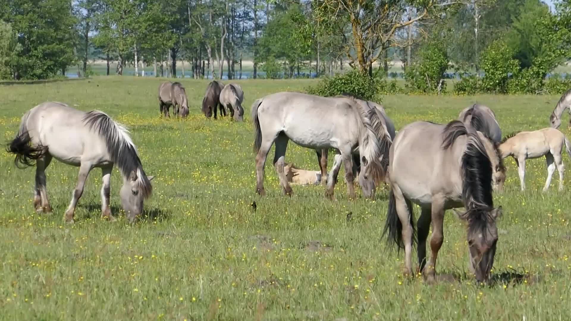 Pape Nature Park In Latvia
