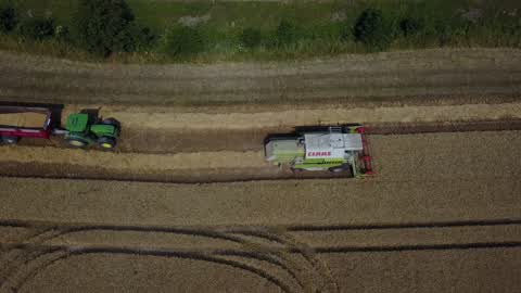 Wheat Harvest In France