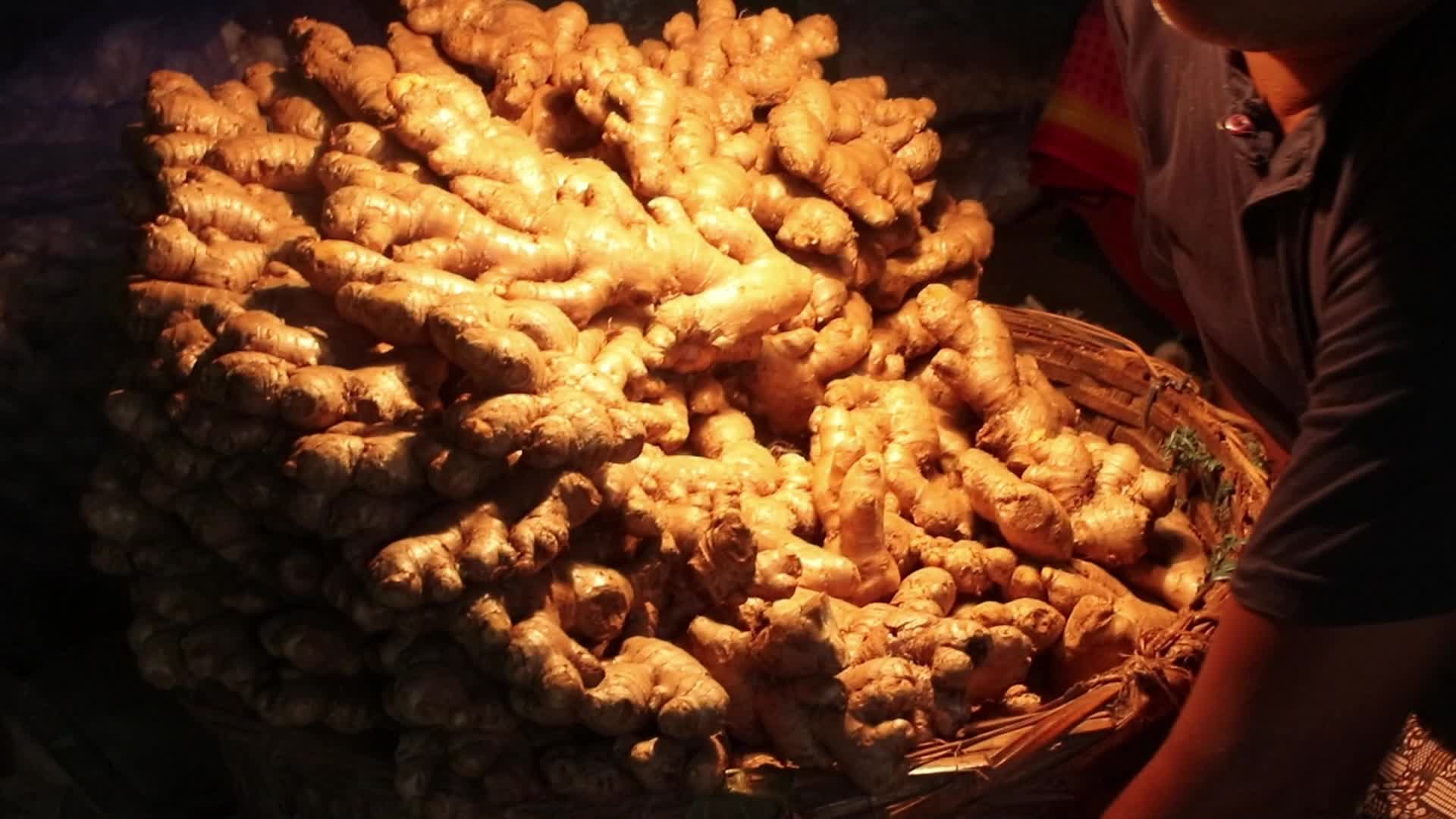 Wholesale vegetable market in Kolkata