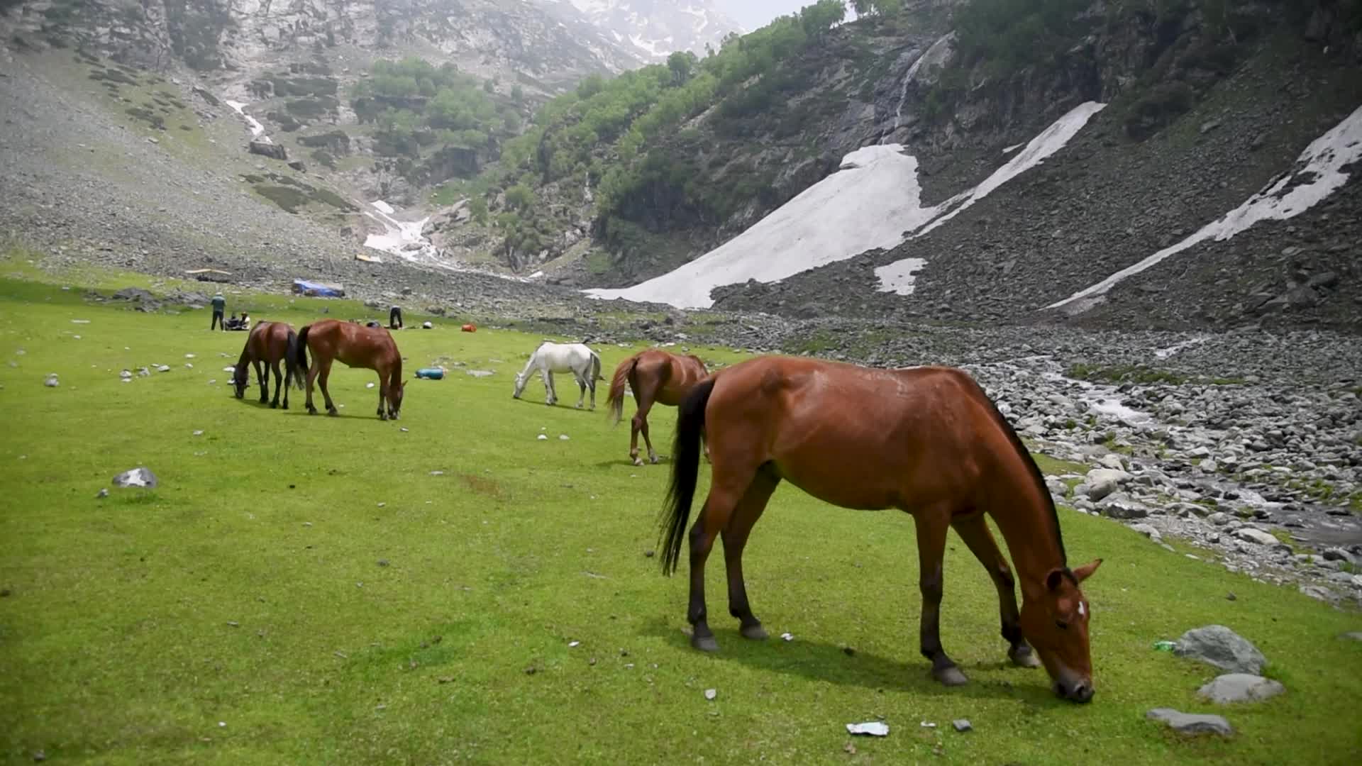 Tulian Valley in Pahalgam, Kashmir.