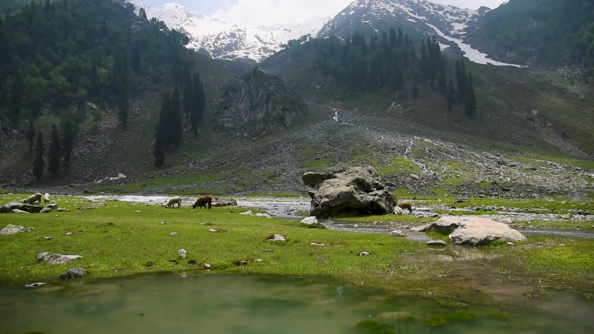 Tulian Valley in Pahalgam, Kashmir.