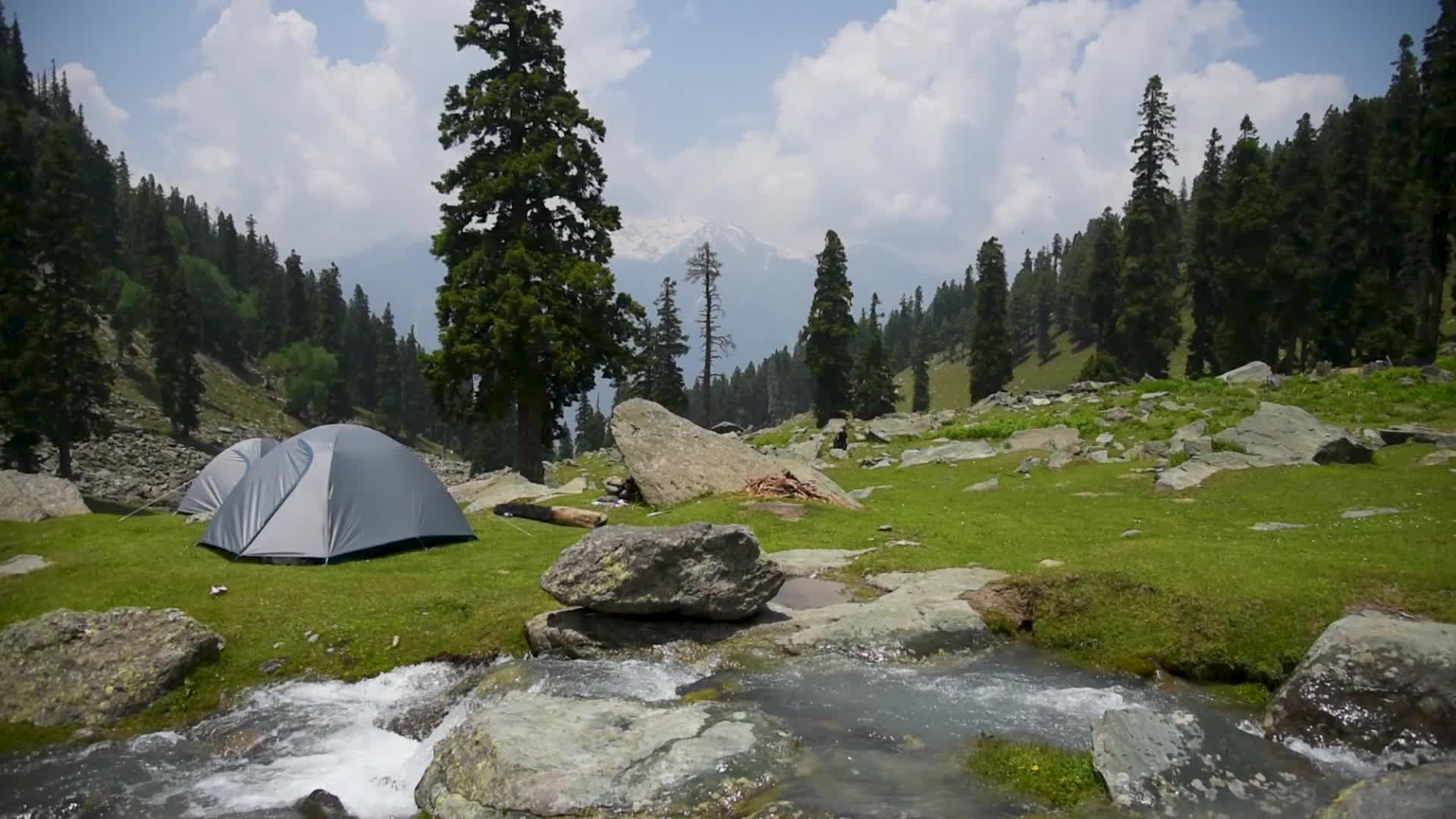 Tulian Valley in Pahalgam, Kashmir.