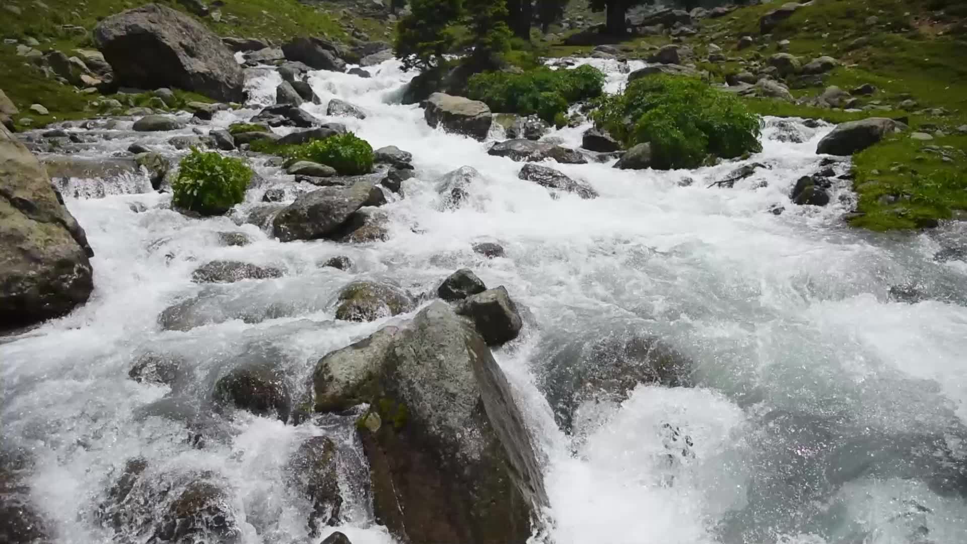 Tulian Valley in Pahalgam, Kashmir.