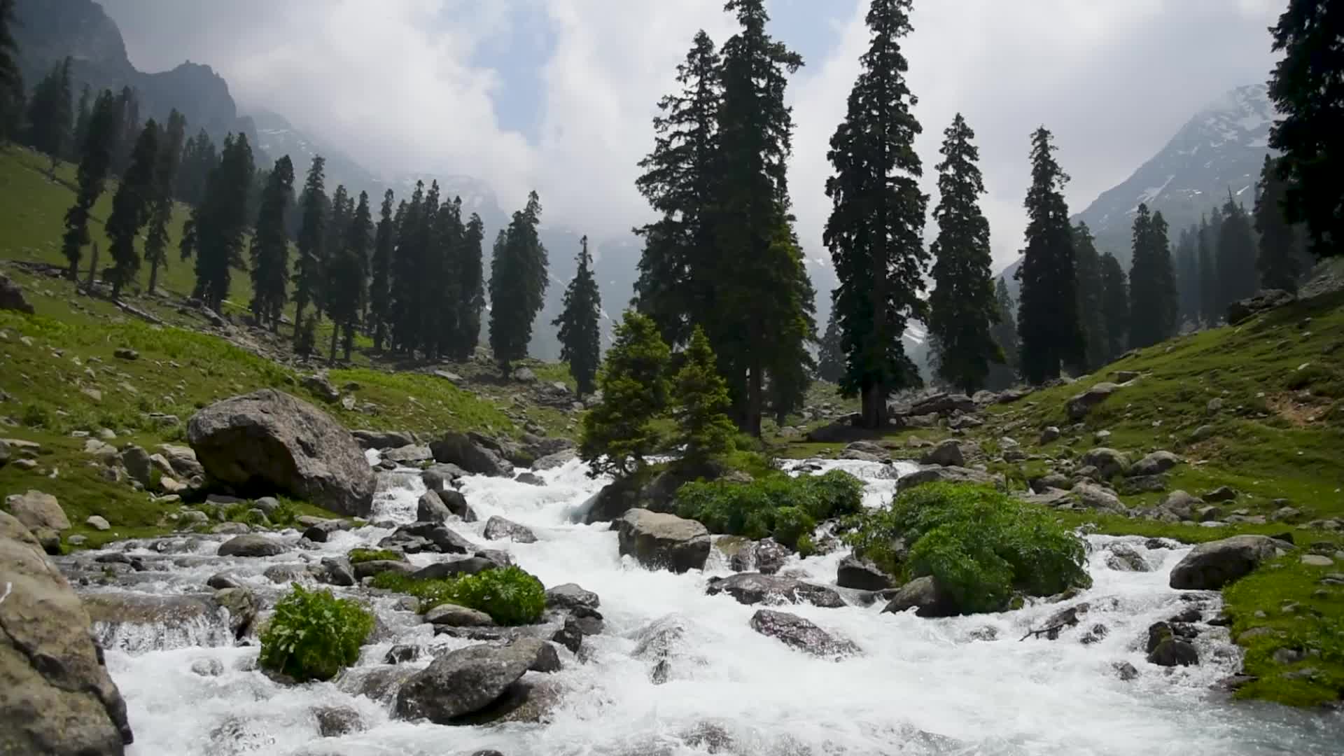 Tulian Valley in Pahalgam, Kashmir.
