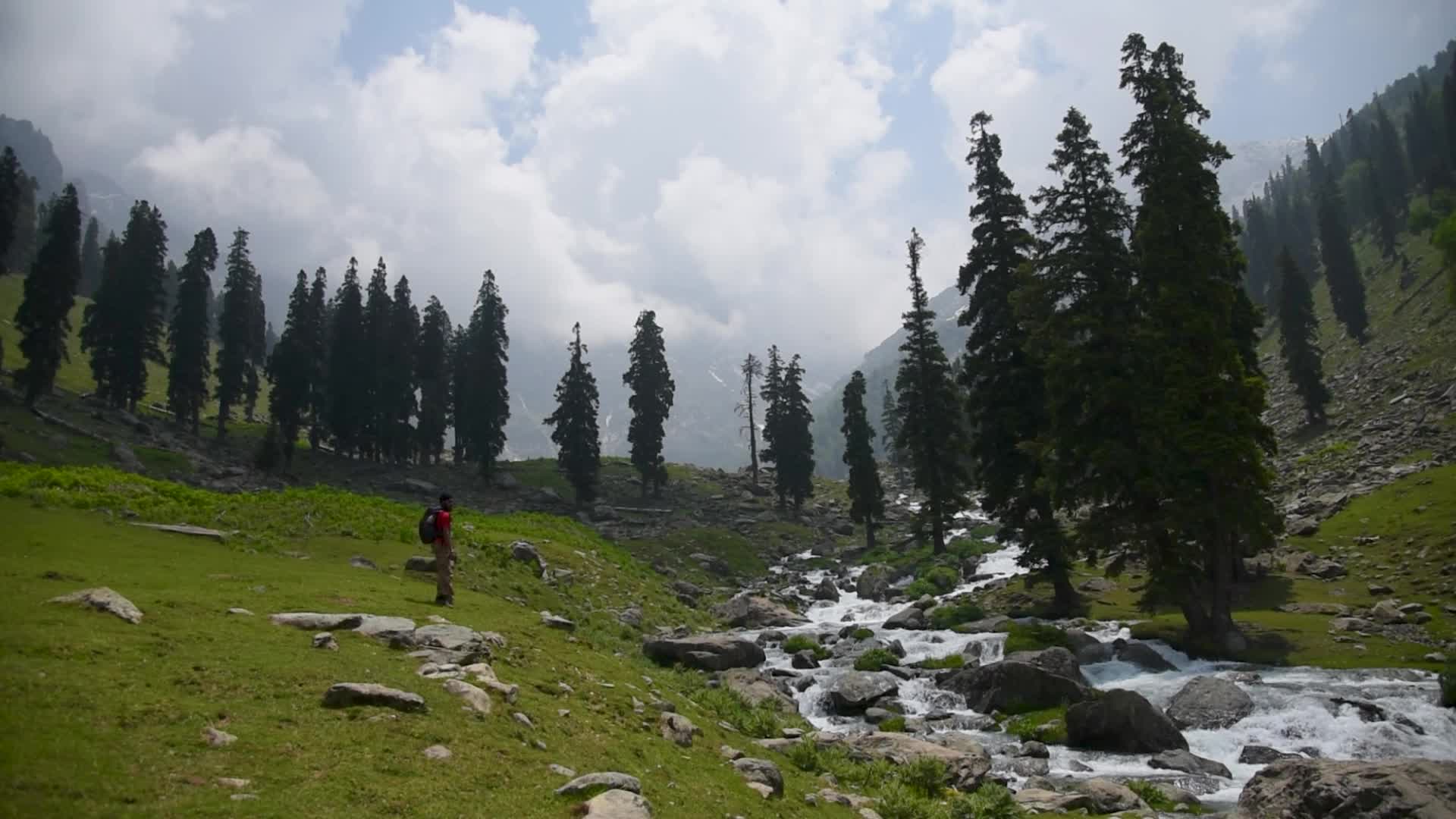 Tulian Valley in Pahalgam, Kashmir.