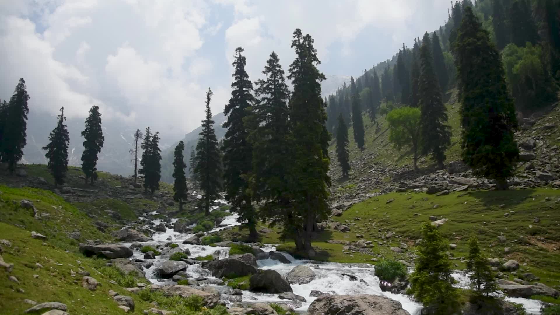 Tulian Valley in Pahalgam, Kashmir.