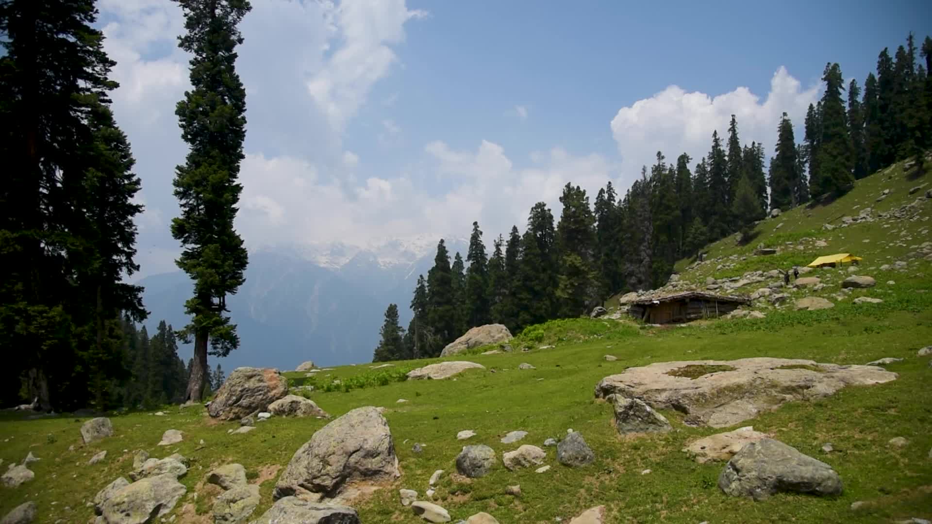 Tulian Valley in Pahalgam, Kashmir.