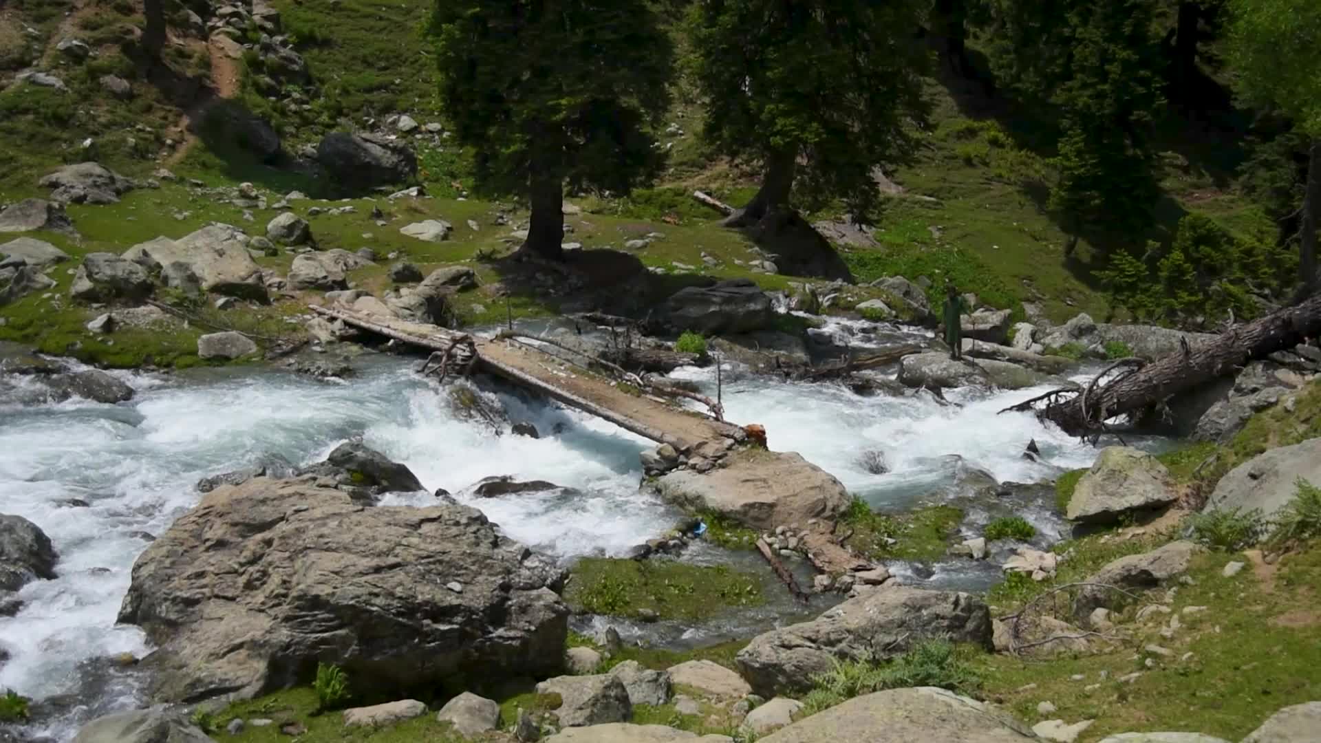 Tulian Valley in Pahalgam, Kashmir.