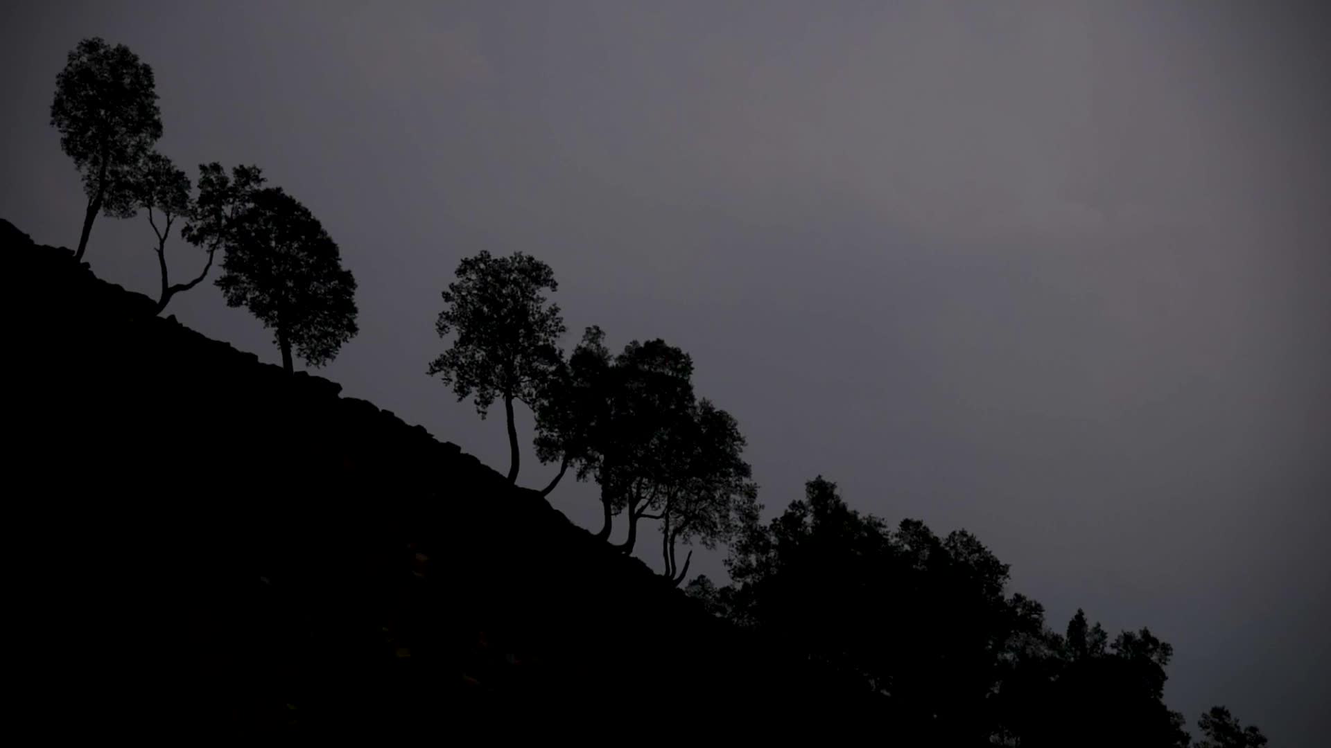 Tulian Valley in Pahalgam, Kashmir.