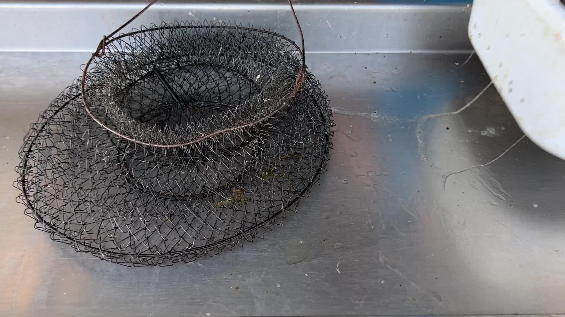 Fishing for rainbow trout in Canada