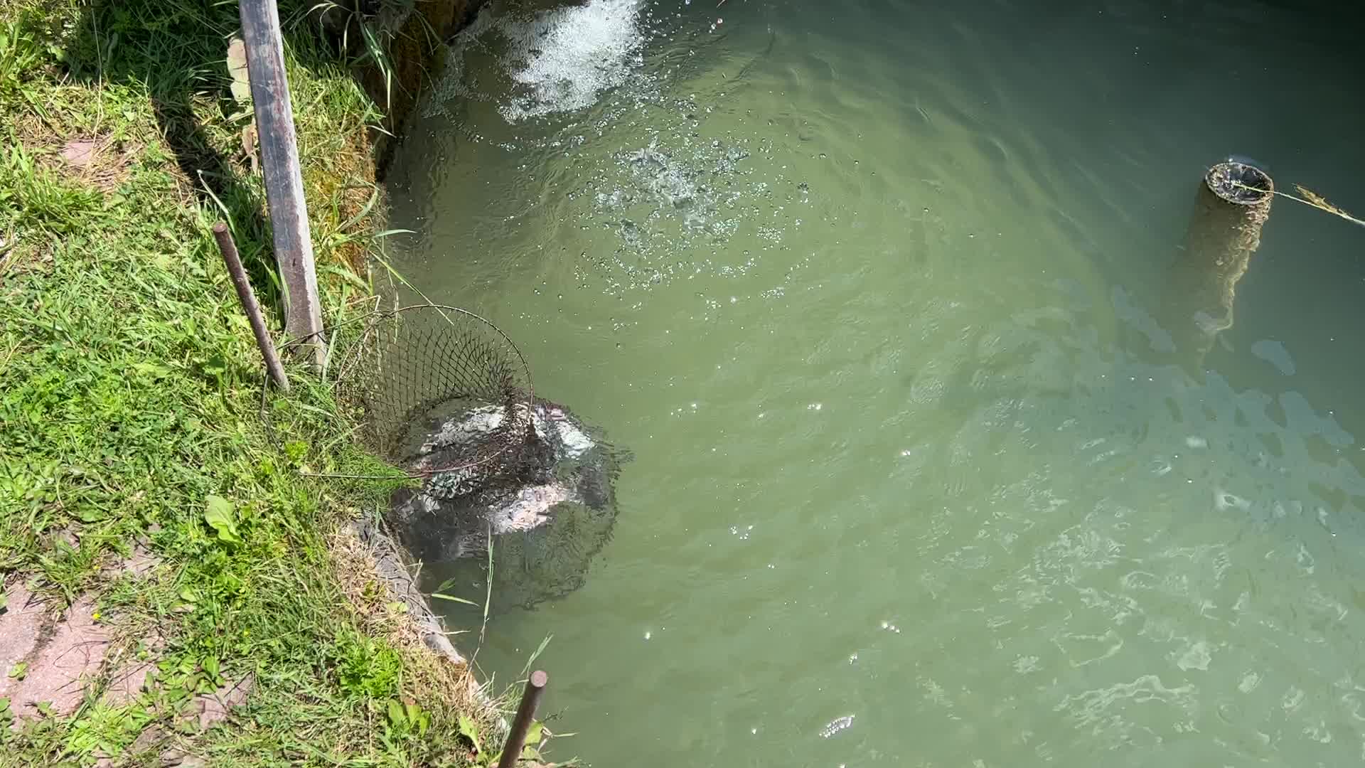Fishing for rainbow trout in Canada