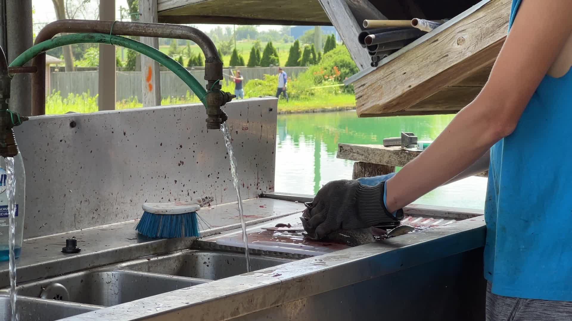 Fishing for rainbow trout in Canada