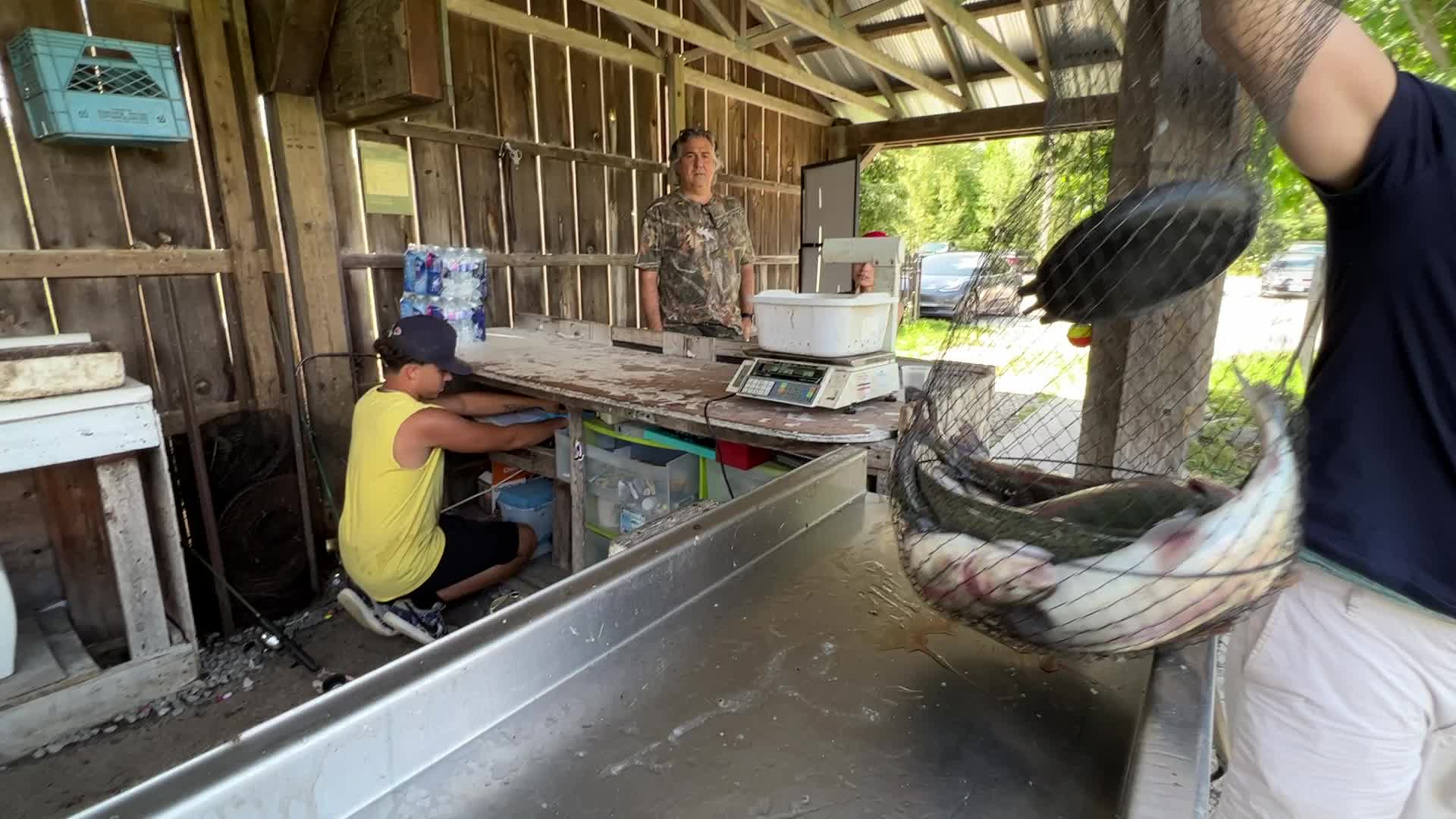Fishing for rainbow trout in Canada