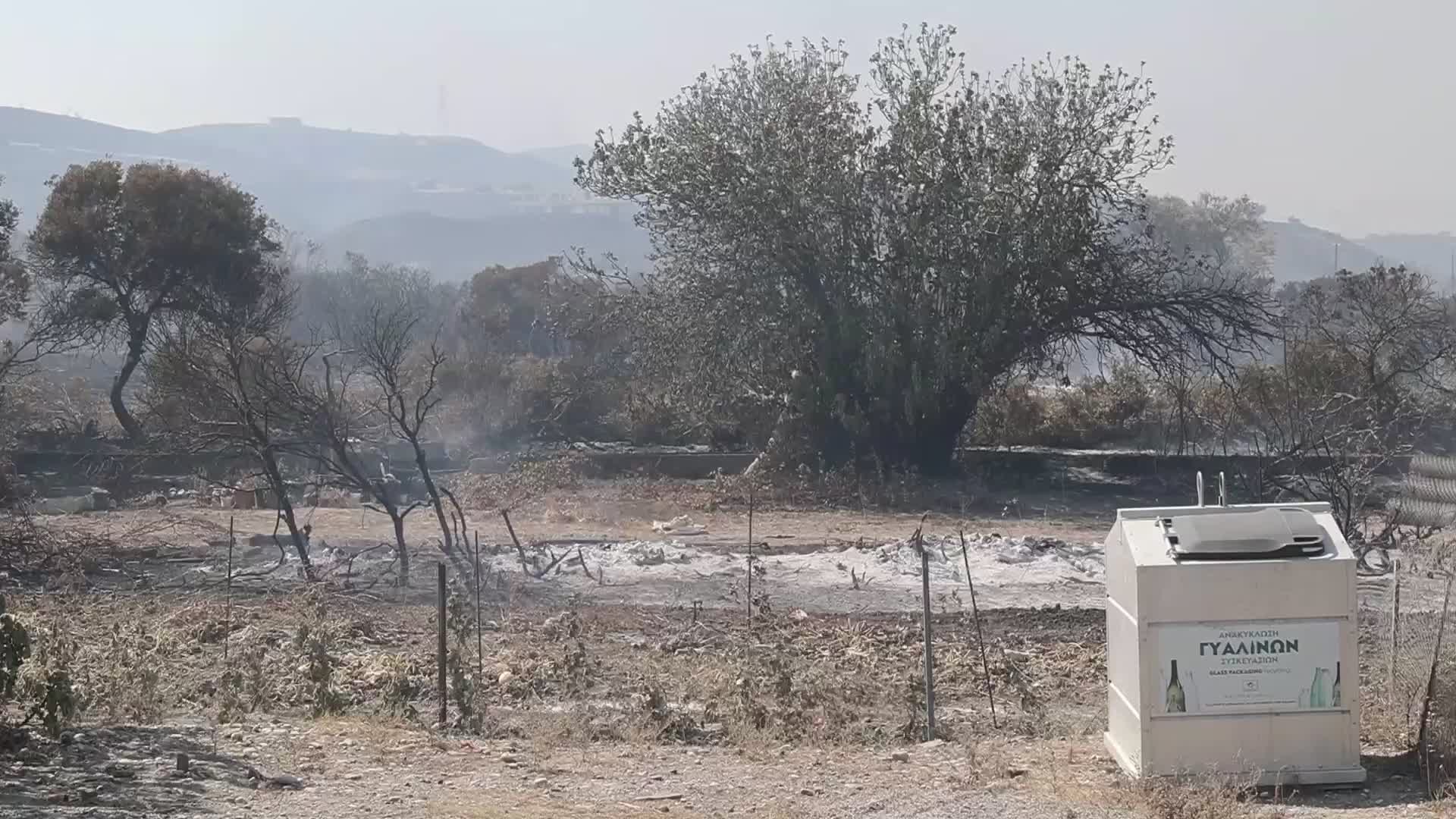 Rhodes Wildfire Forces Thousands Of Evacuations