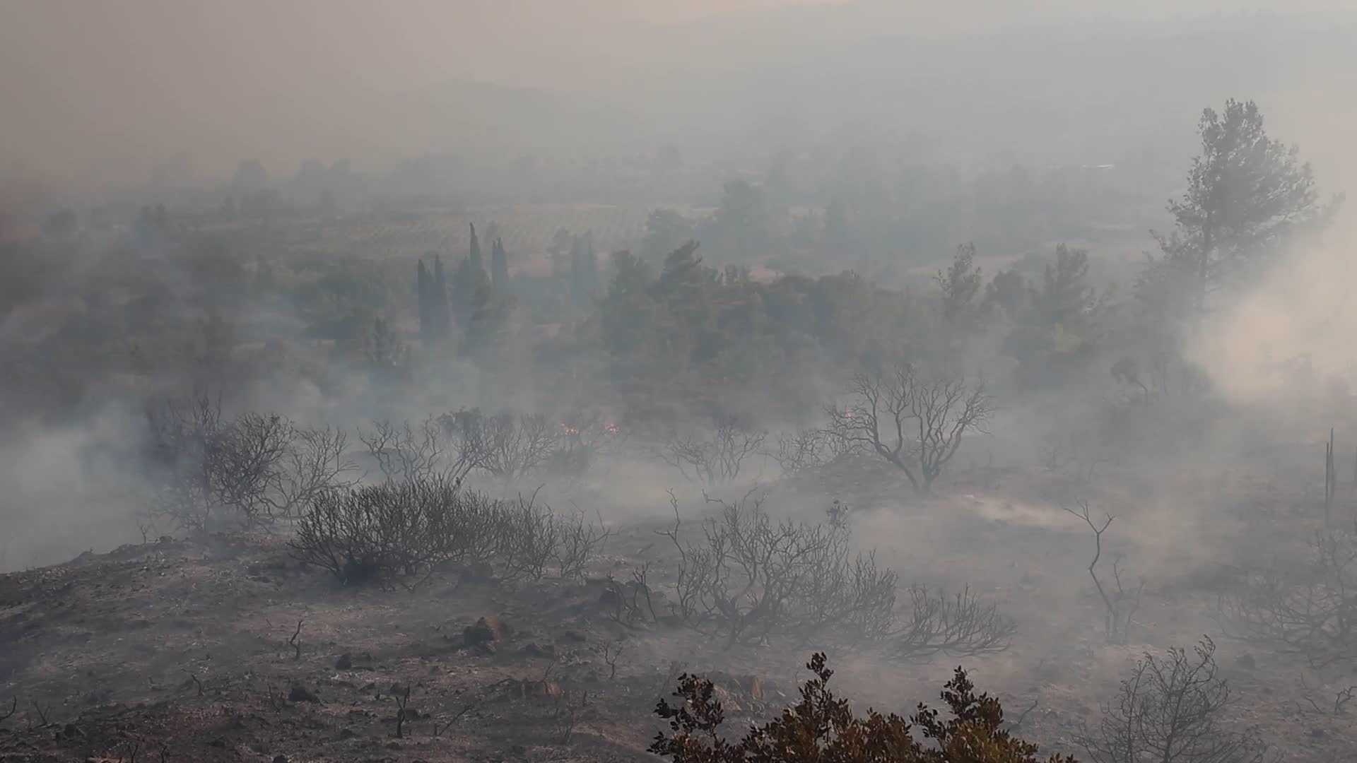 Rhodes Wildfire Forces Thousands Of Evacuations