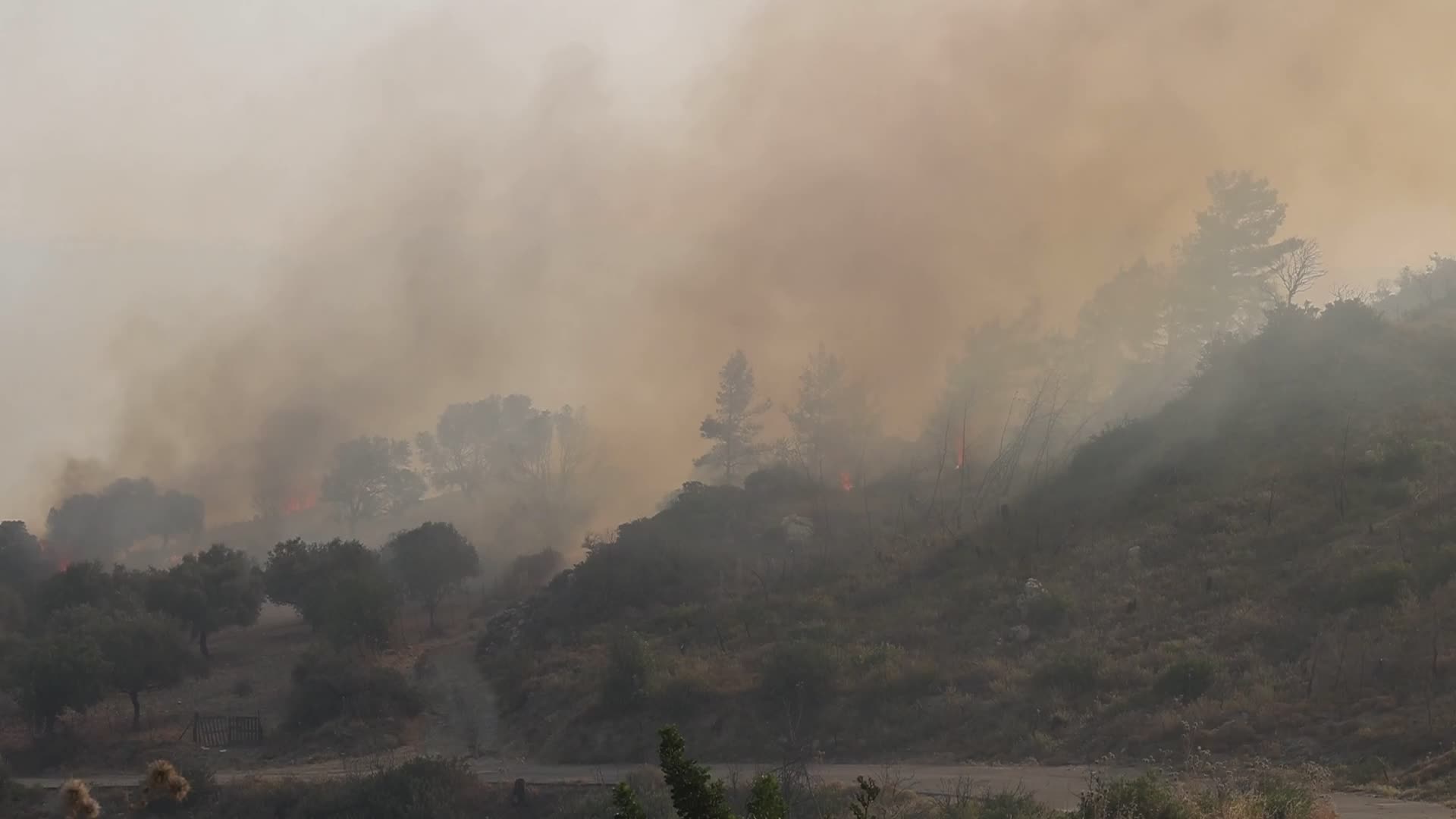 Rhodes Wildfire Forces Thousands Of Evacuations