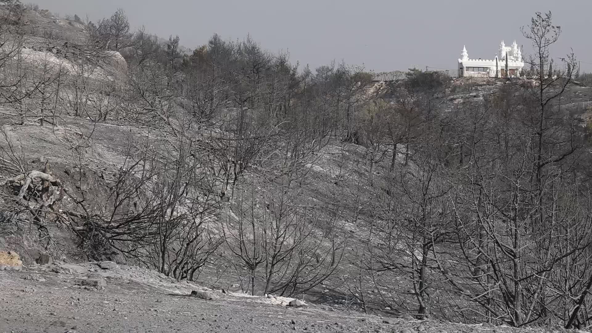Rhodes Wildfire Forces Thousands Of Evacuations