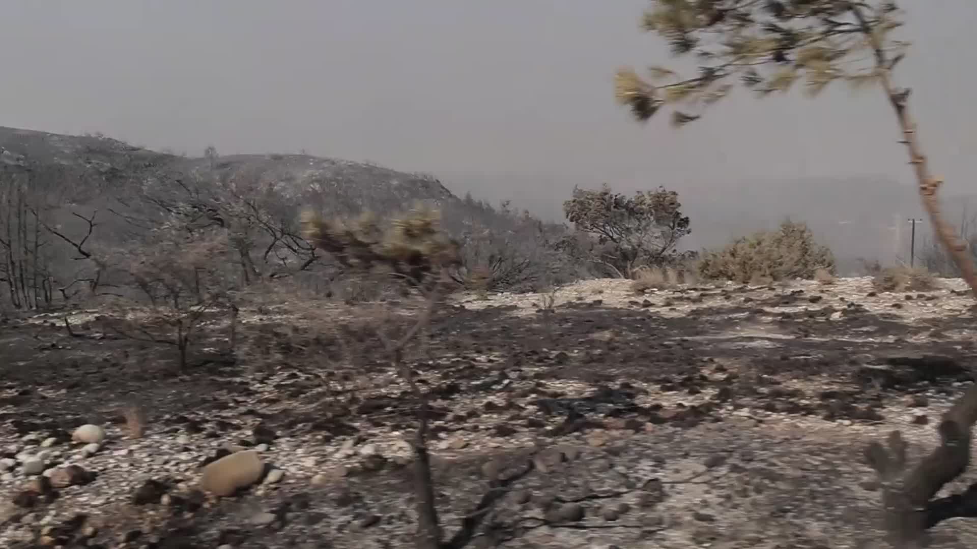 Rhodes Wildfire Forces Thousands Of Evacuations