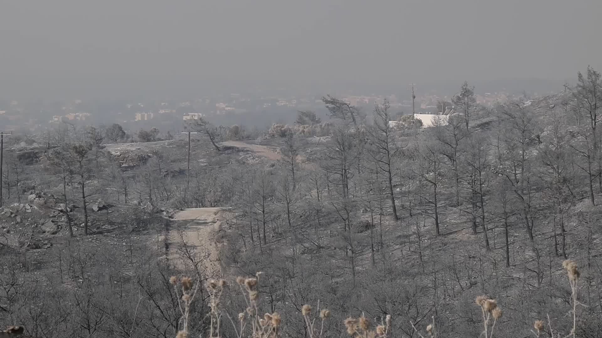 Rhodes Wildfire Forces Thousands Of Evacuations