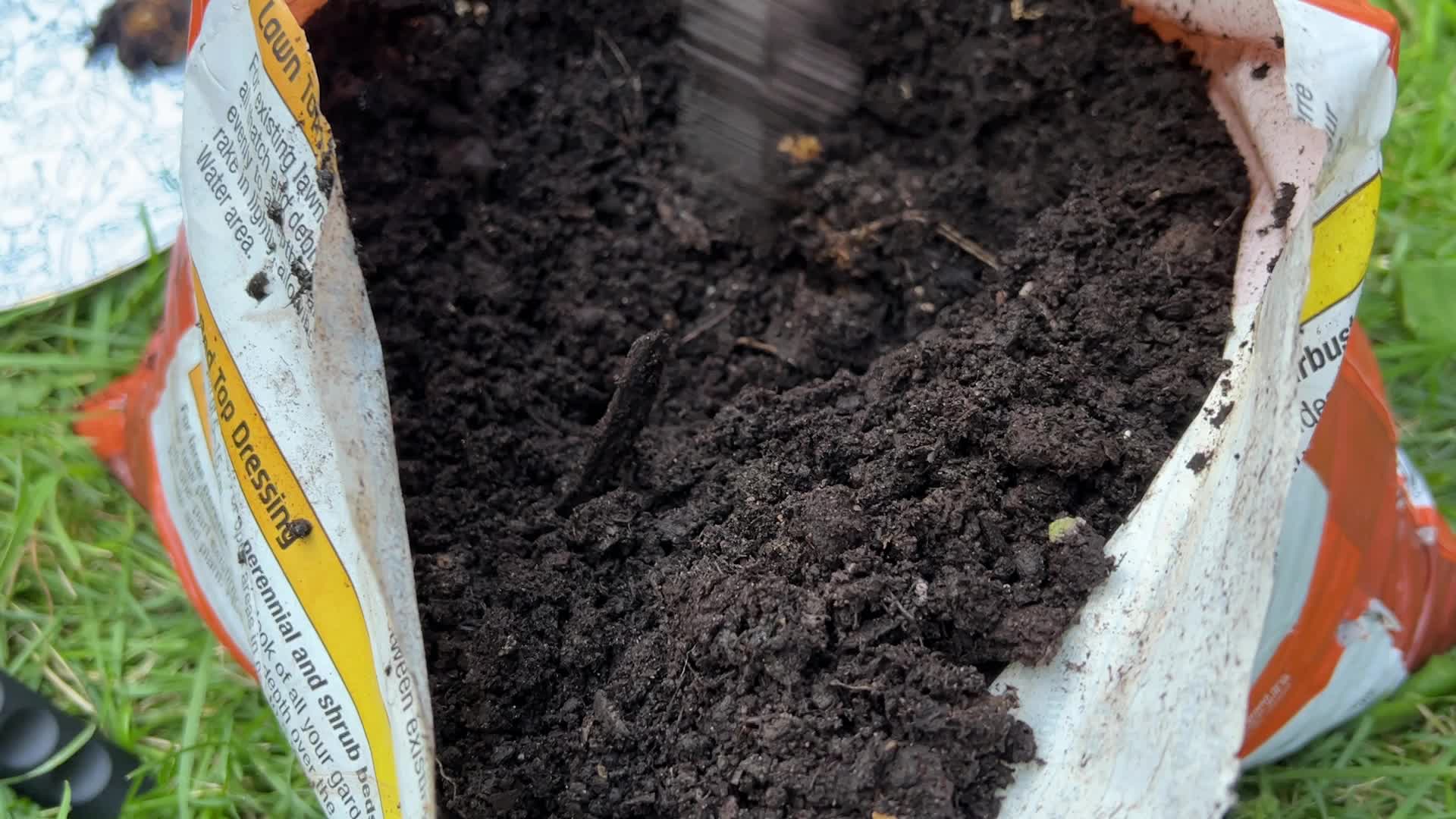Homegrown vegetables in Canada