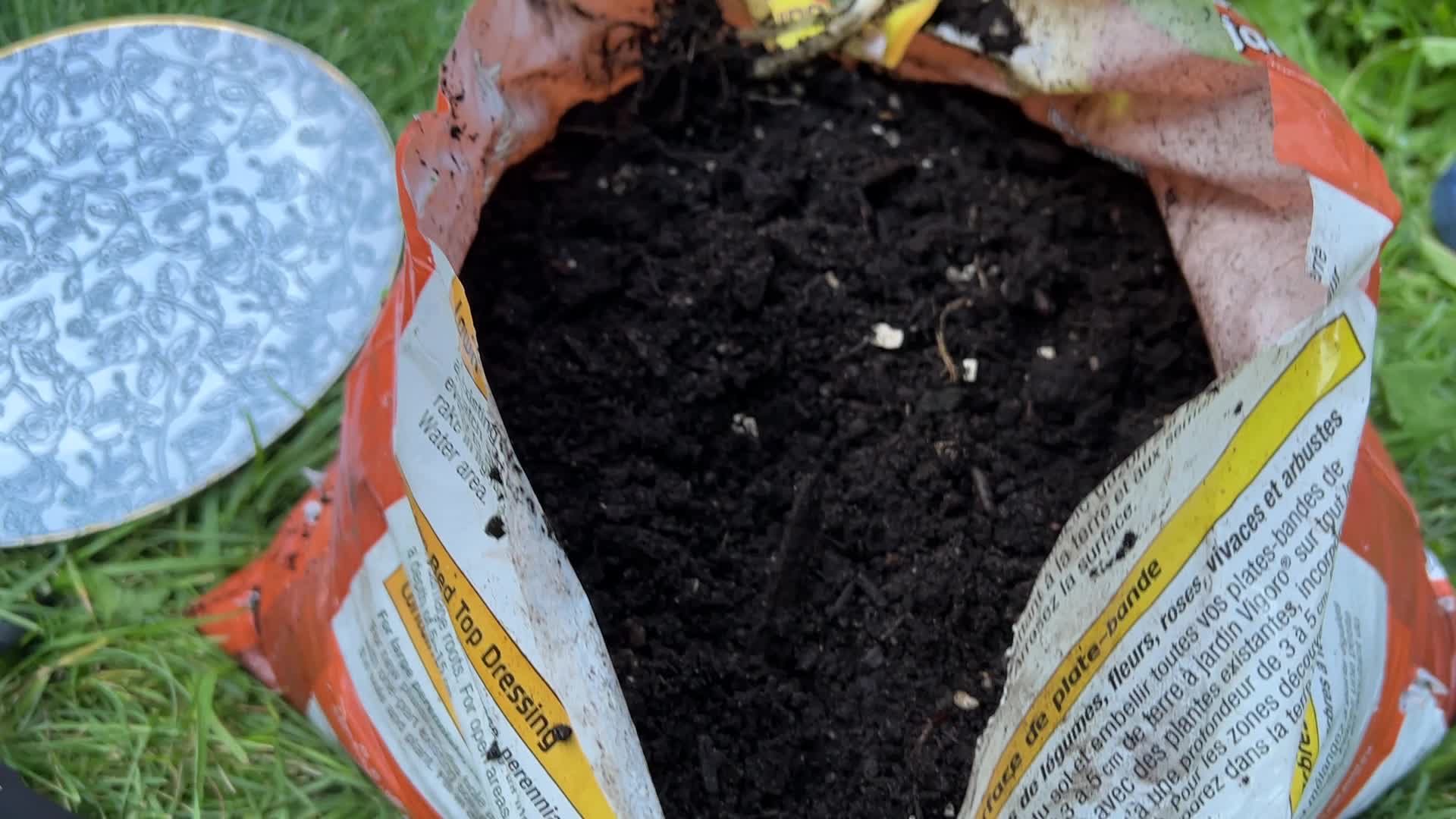 Homegrown vegetables in Canada