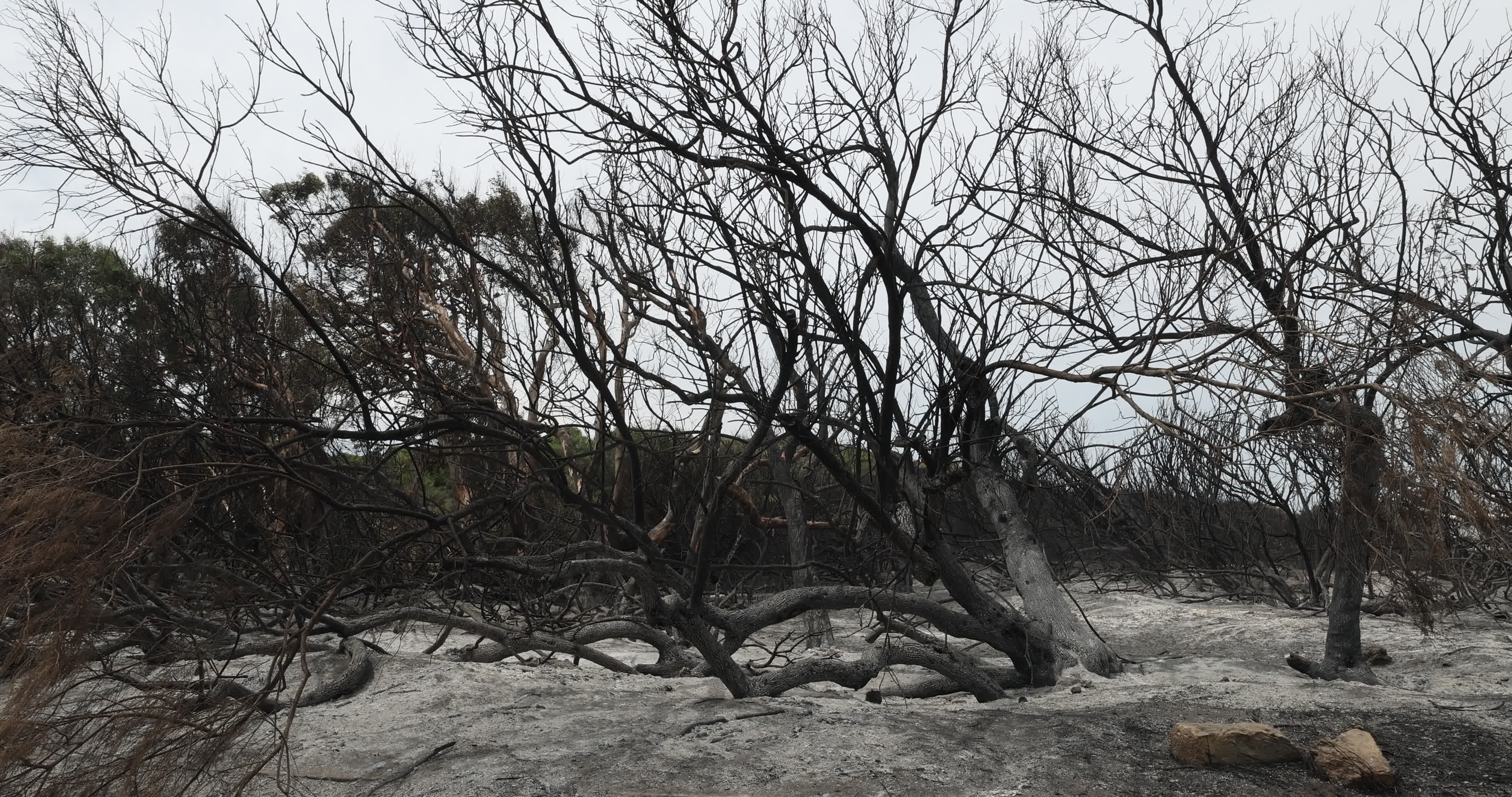 Aftermath Of Wildfire In San Cataldo, Lecce